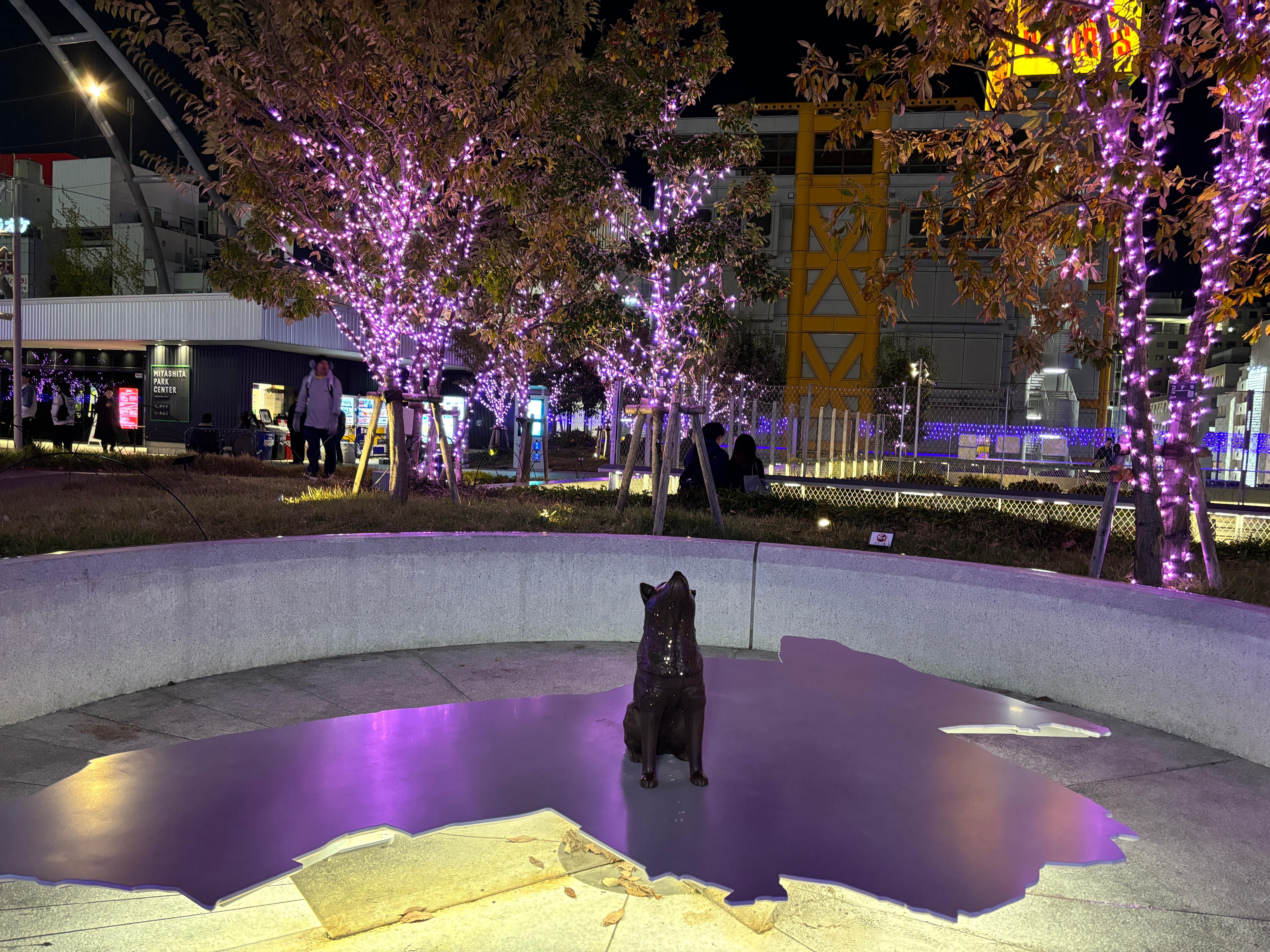 Shibuya Highlights & Hidden Gems Walking Tour