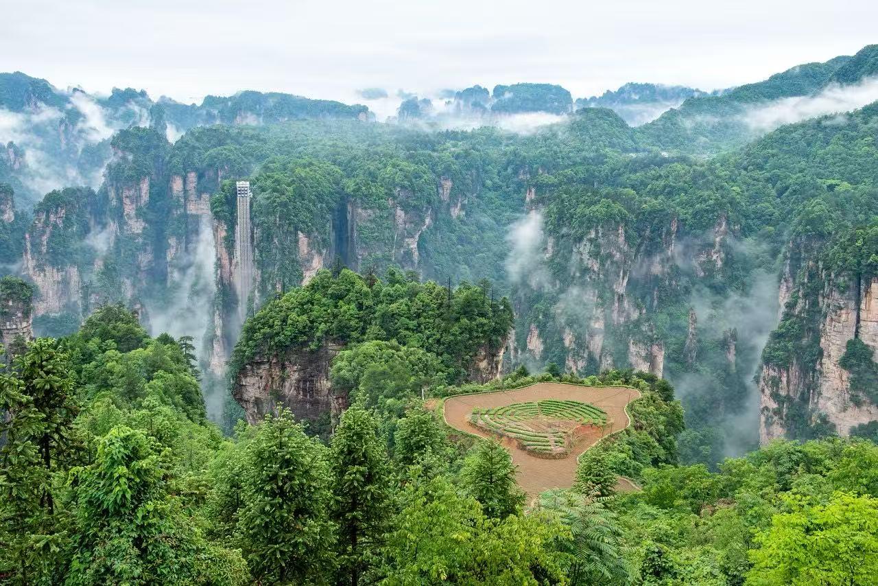 Zhangjiajie National Forest Park: Avatar Mountains Entry Ticket