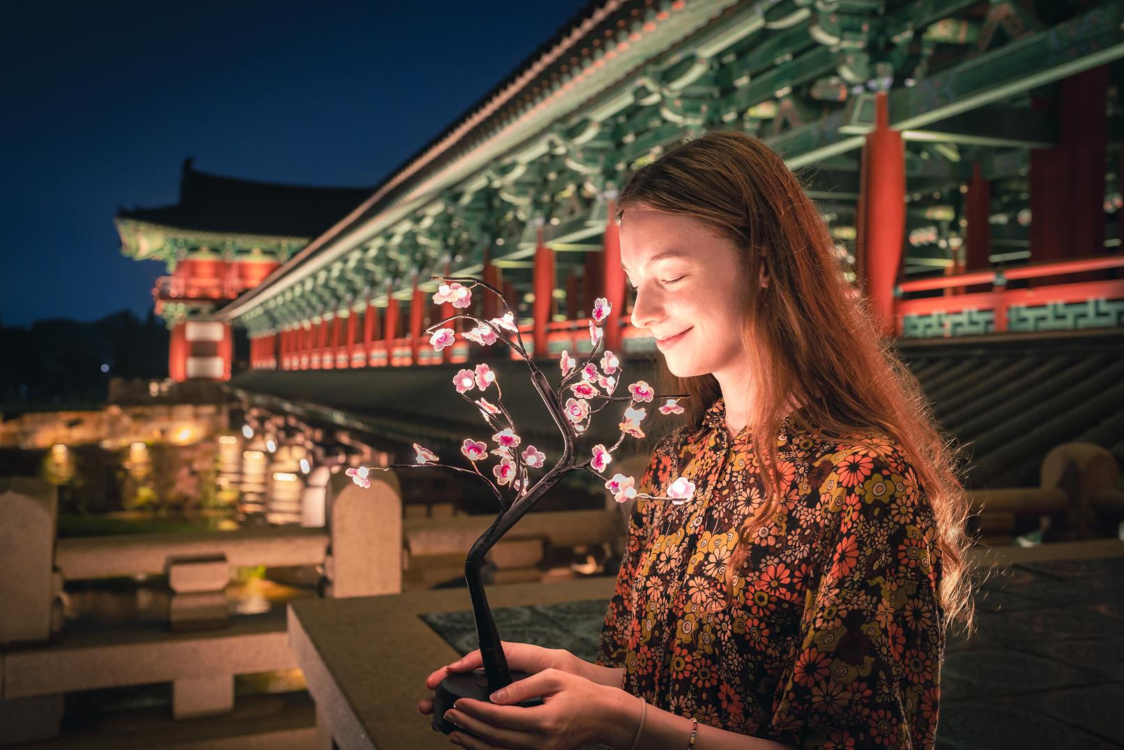 Gyeongju Ancient Capital Day Tour from Busan