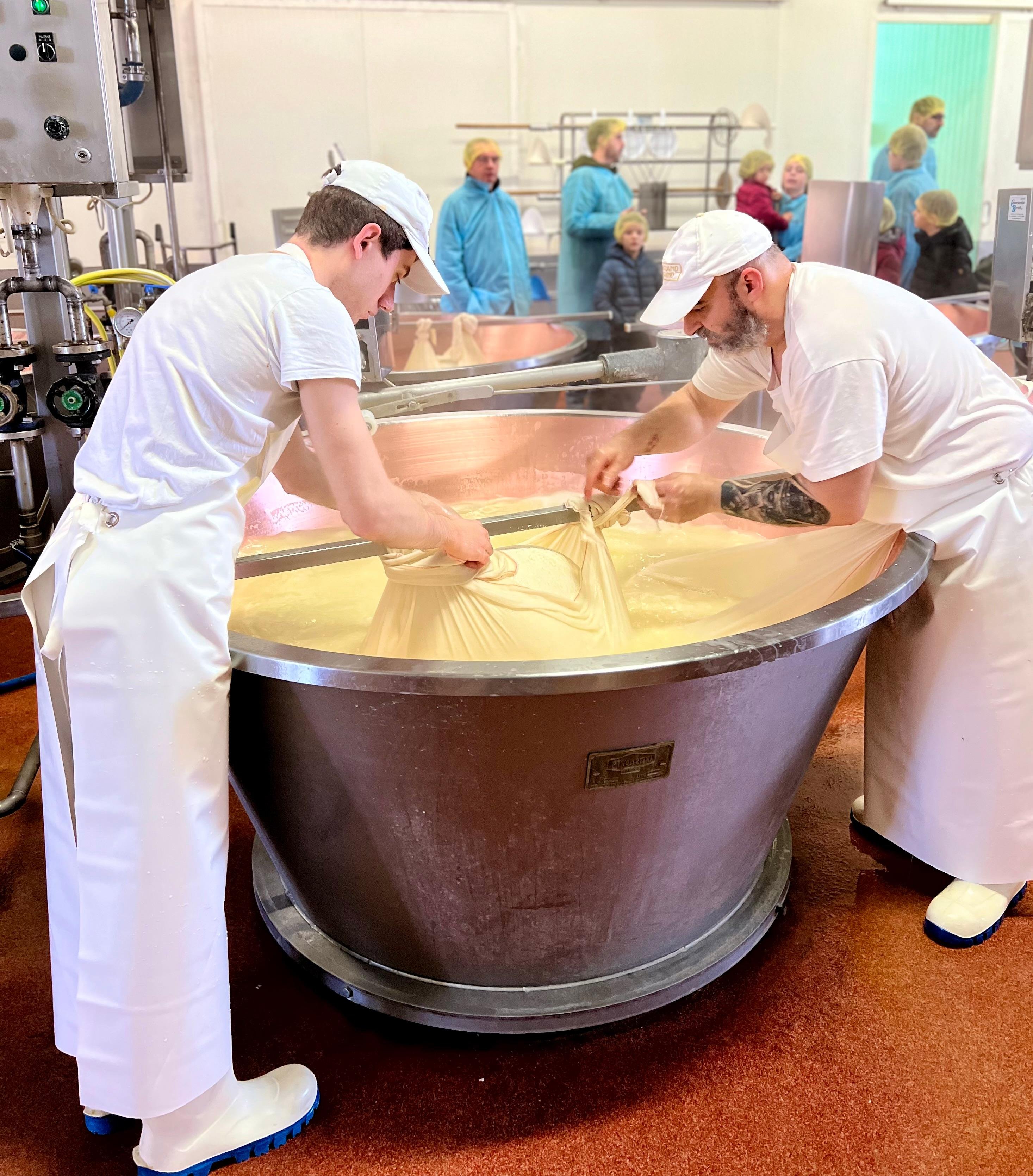 Modena Parmigiano Reggiano & Traditional Balsamic Vinegar Tour
