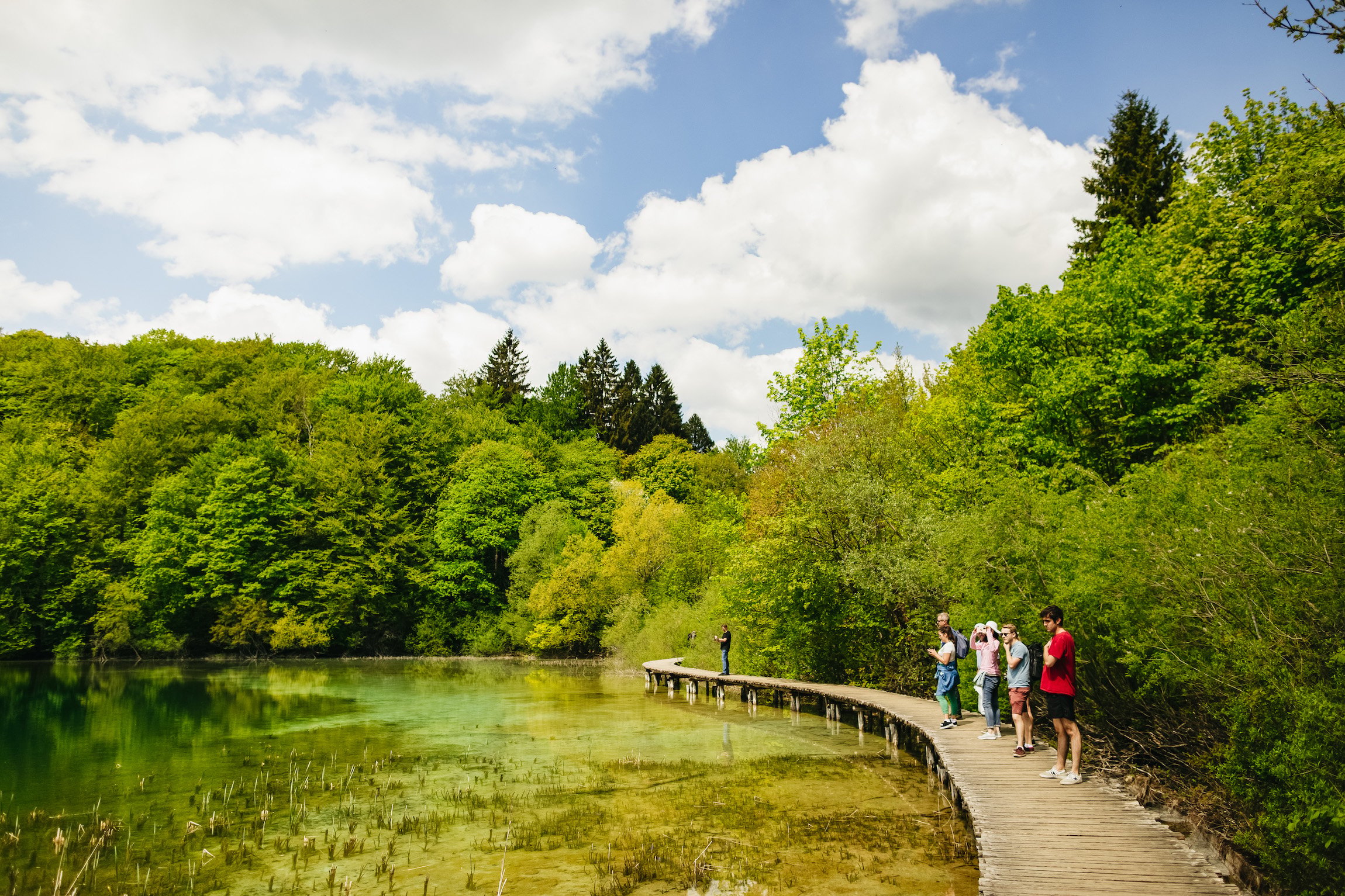 Plitvice Lakes Guided Day Trip from Split or Trogir