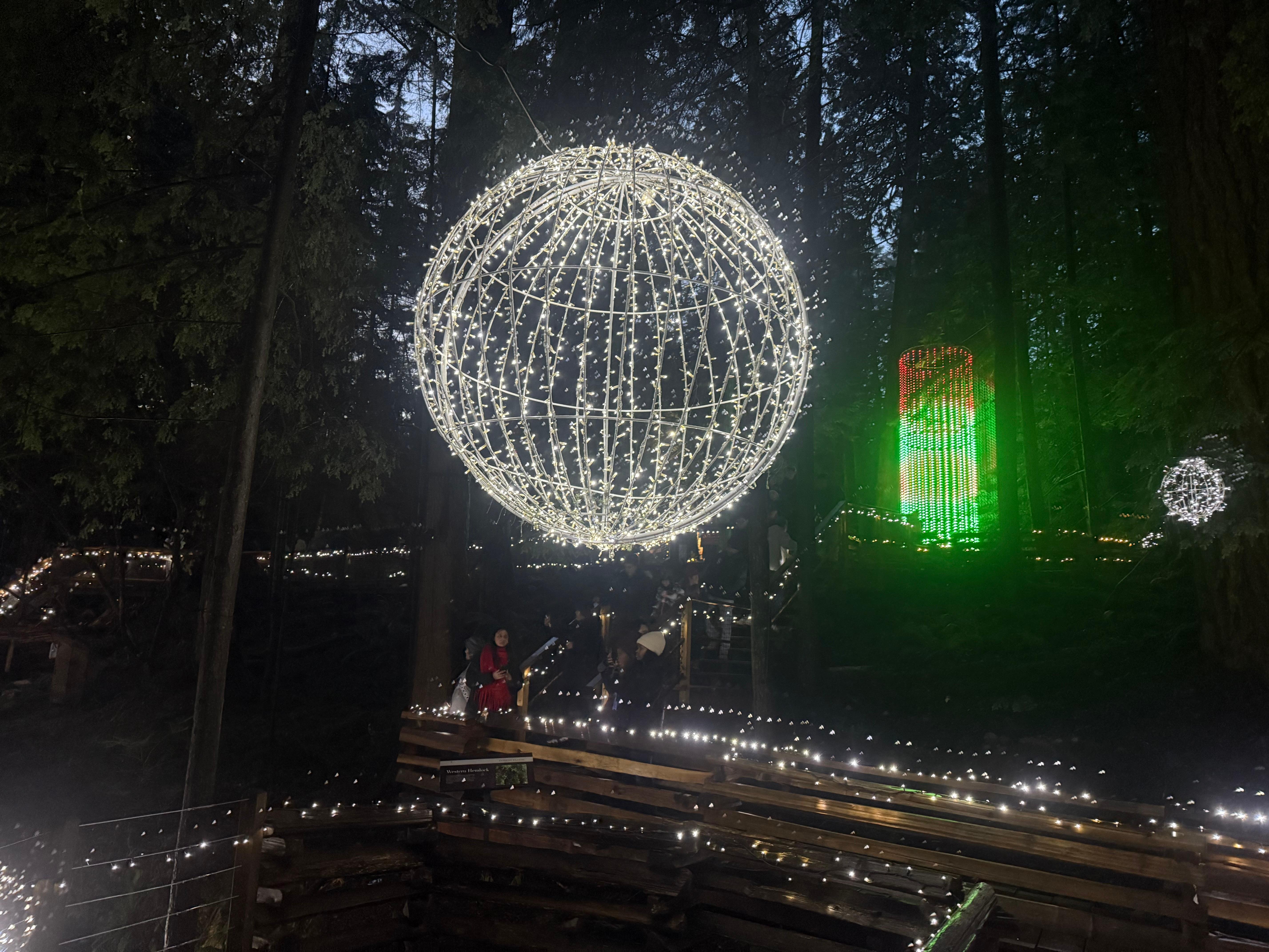 Capilano Suspension Bridge & Stanley Park Small Group Tour