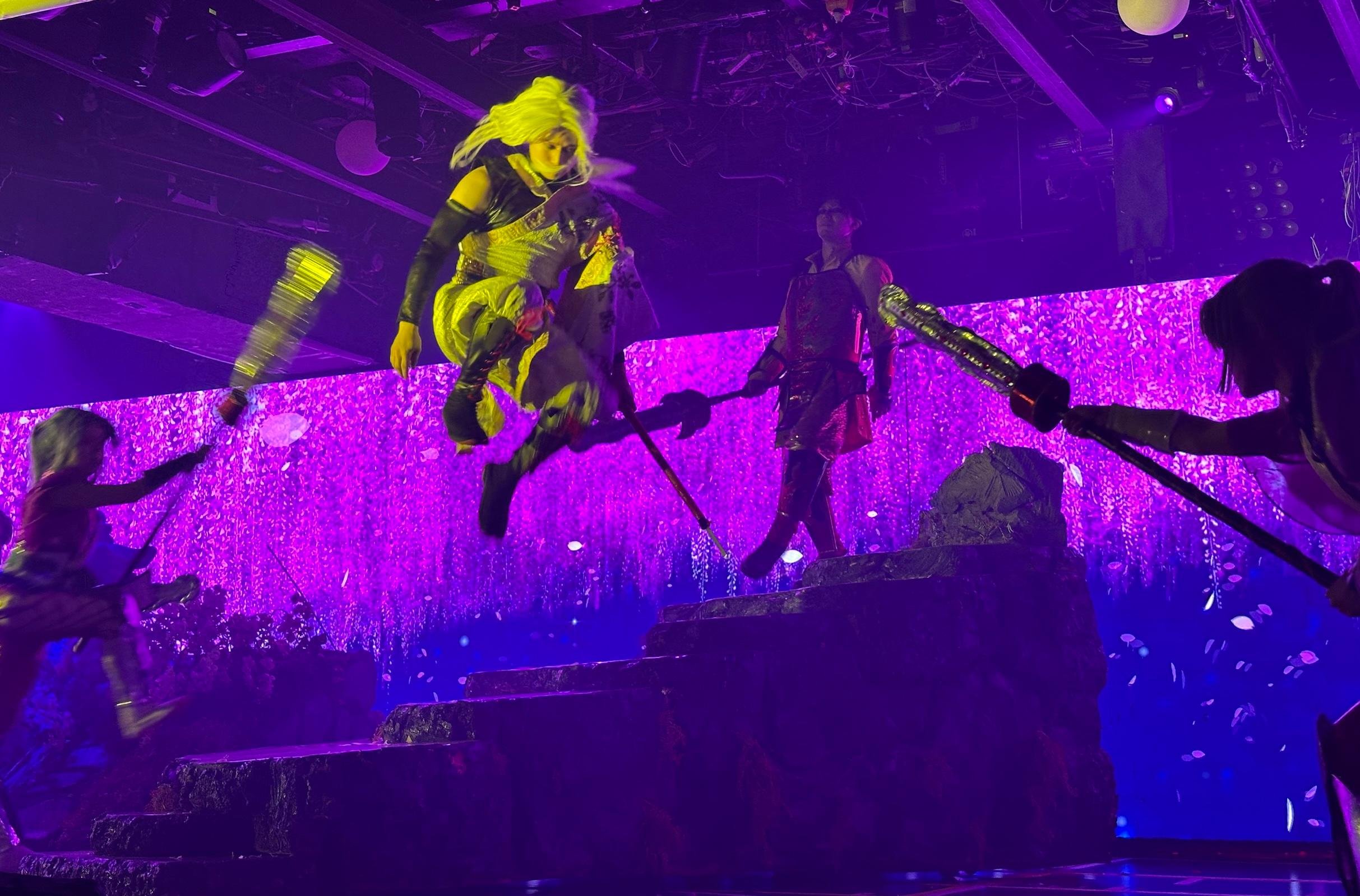 samurai show in Tokyo — photo 5