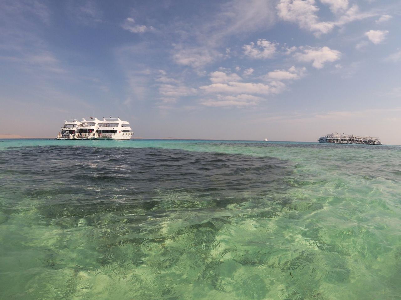 Tiran Island Snorkel & Dive Cruise from Sharm El-Sheikh with Buffet Lunch