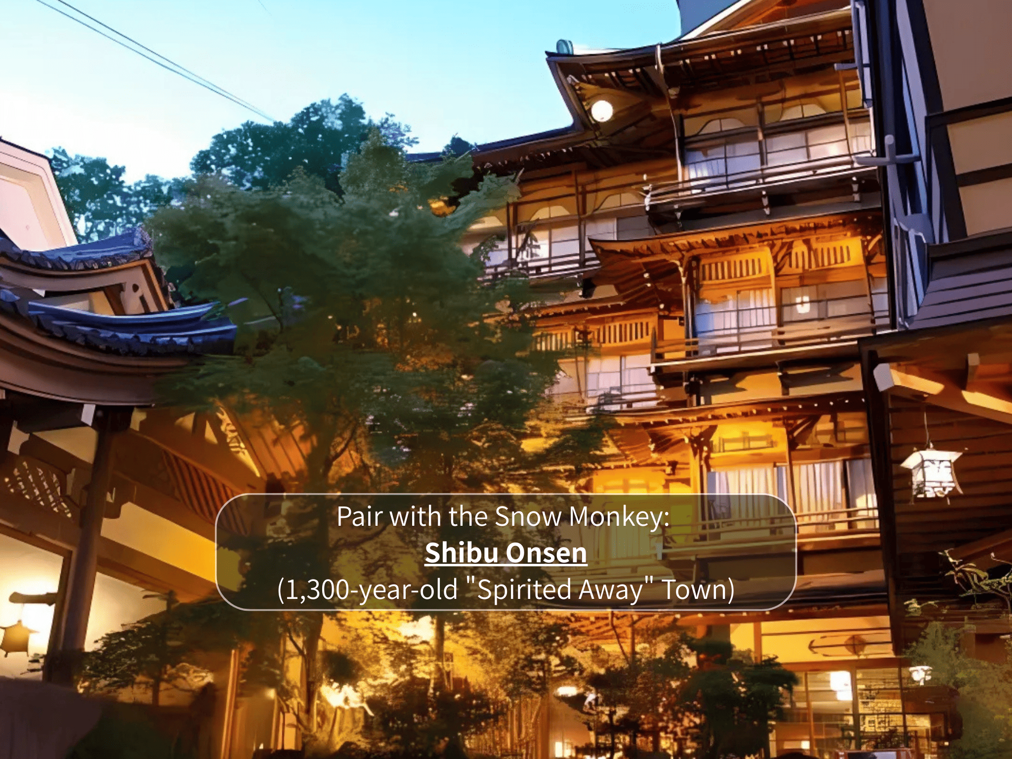 Nagano Snow Monkeys & Hidden Gems Private Day Tour