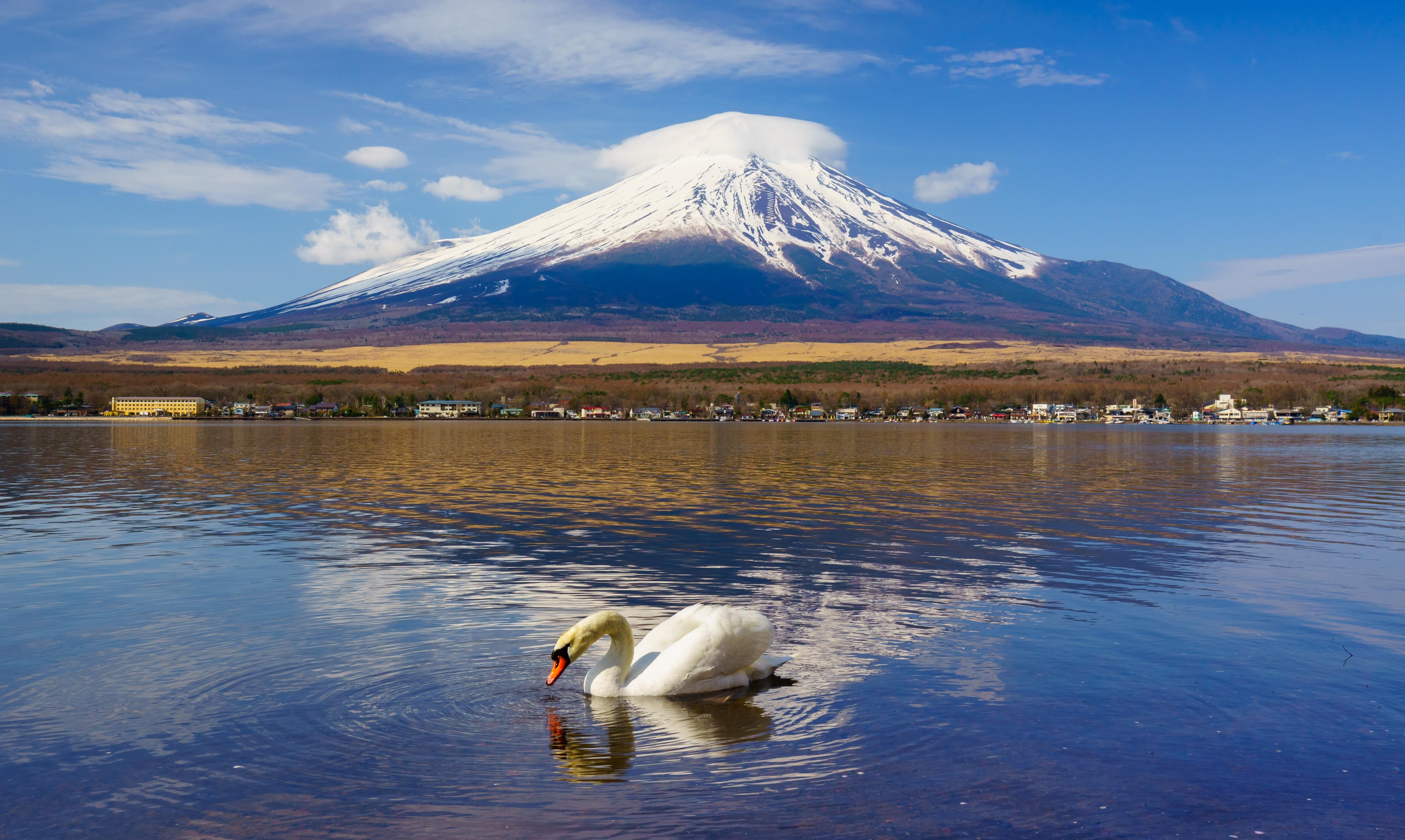 Mt. Fuji & Lake Kawaguchi Small Group Day Trip