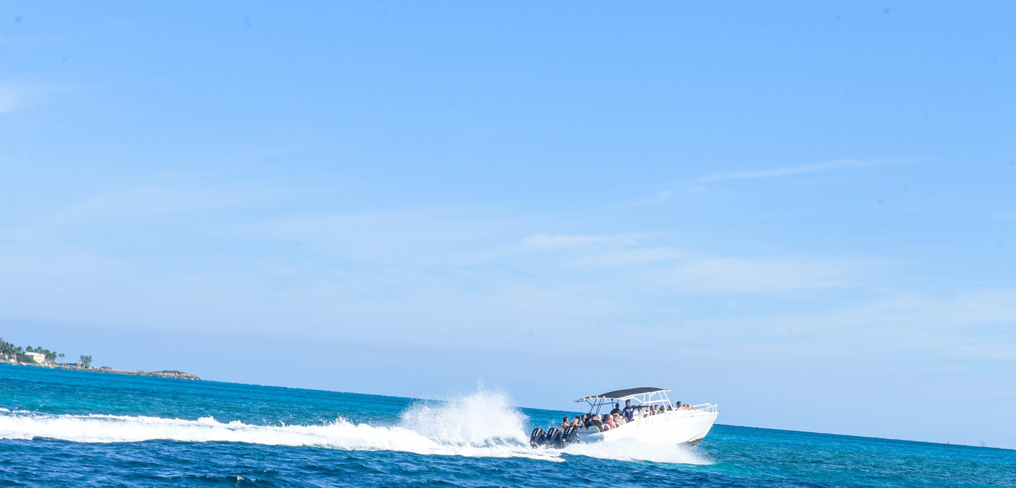 Nassau 3-Island Speedboat Adventure: Pigs, Turtles & Snorkeling