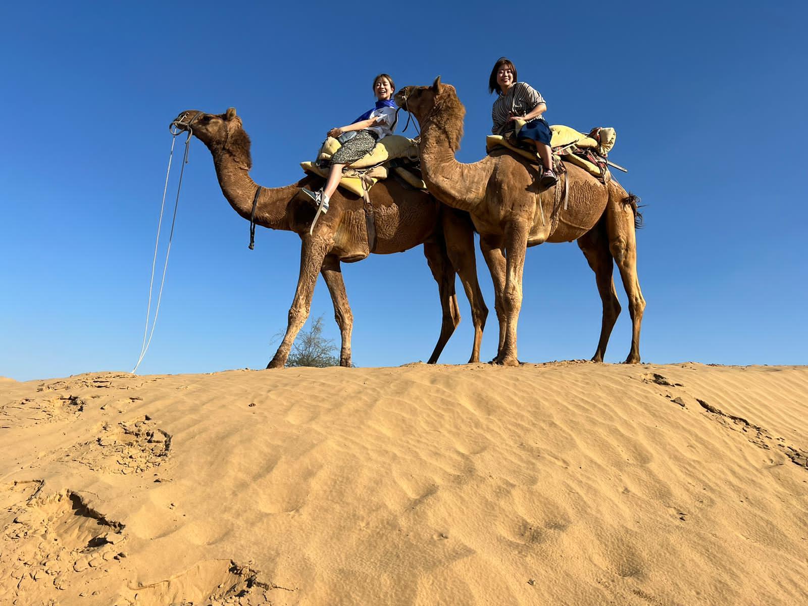 Jodhpur: Thar Desert Camel & Jeep Safari with Traditional Dining
