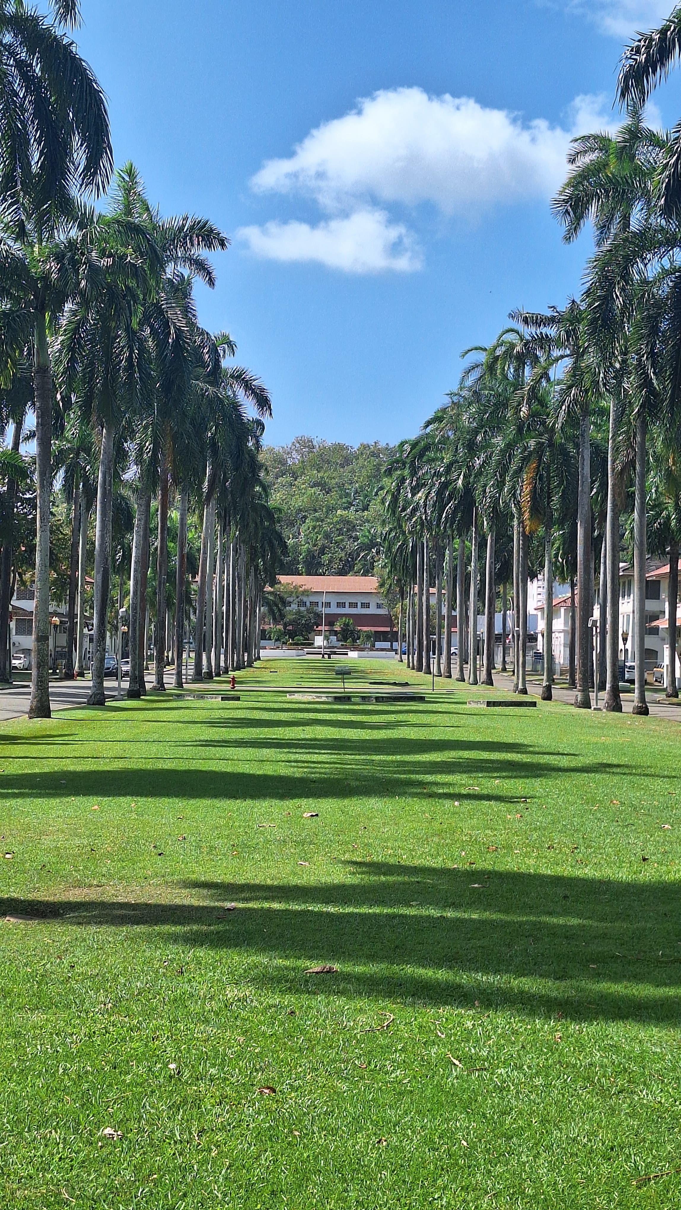 Private Panama Canal & Miraflores Locks Sightseeing Tour