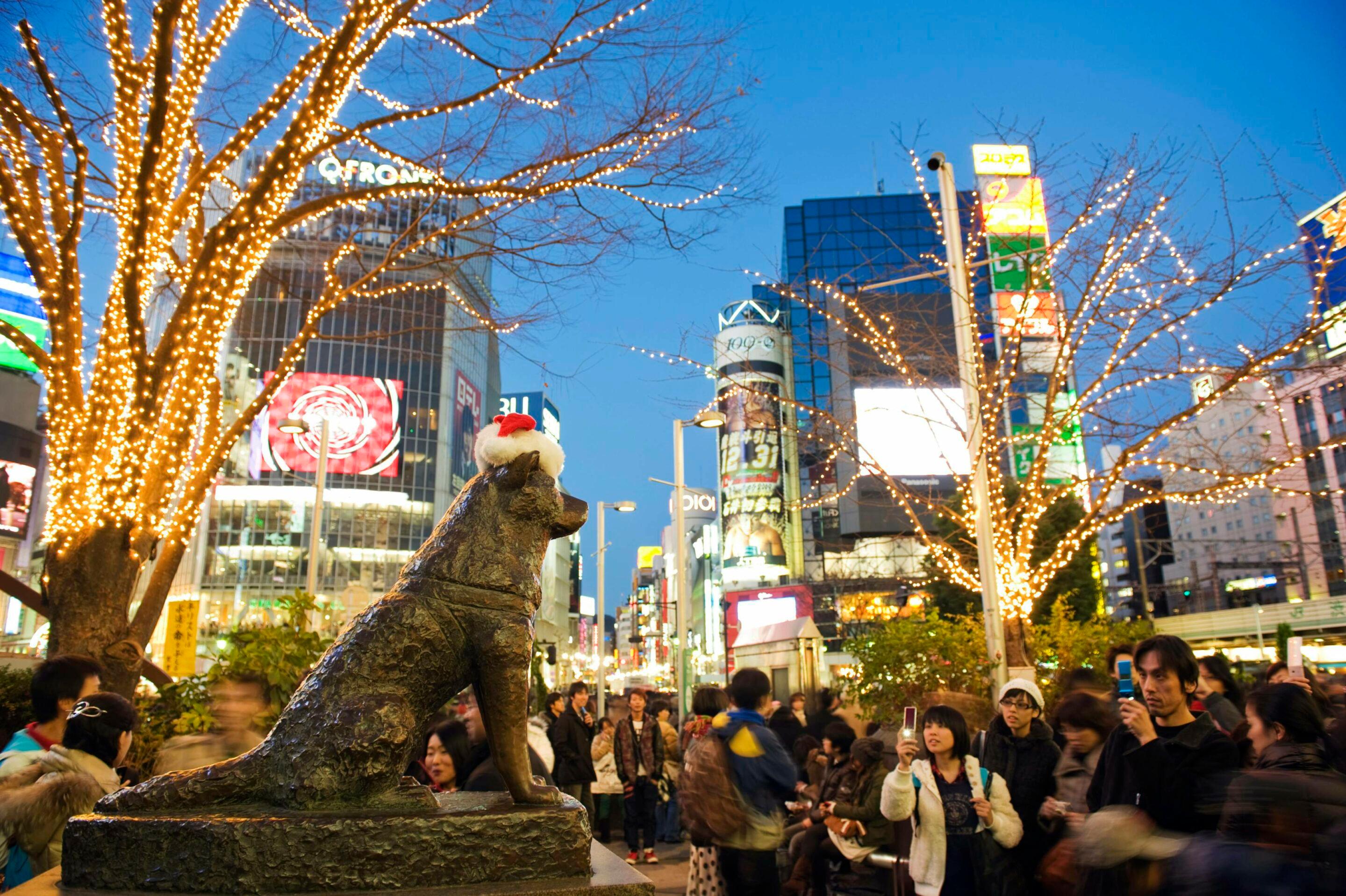 Tokyo Night Walk: Shibuya & Shinjuku in 4 Hours