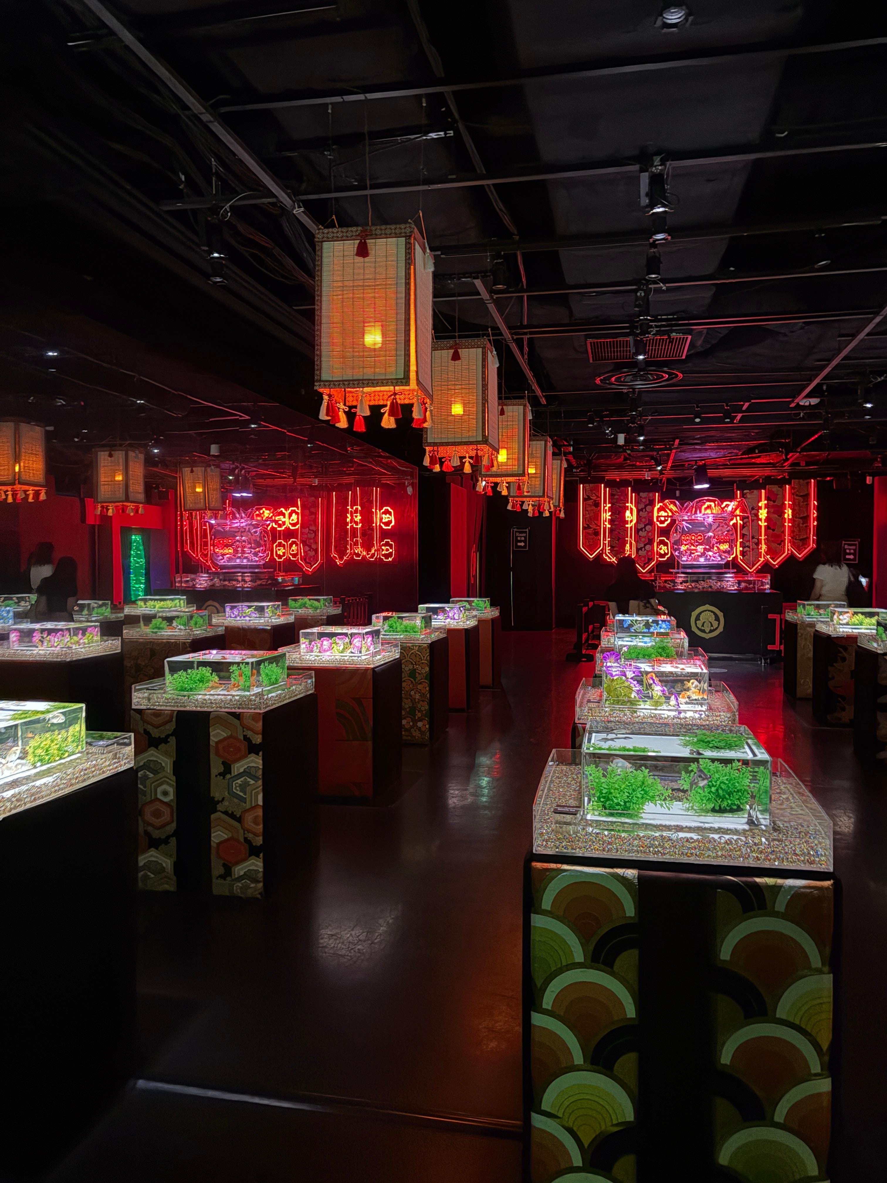 Tokyo Art Aquarium Museum GINZA Admission Ticket