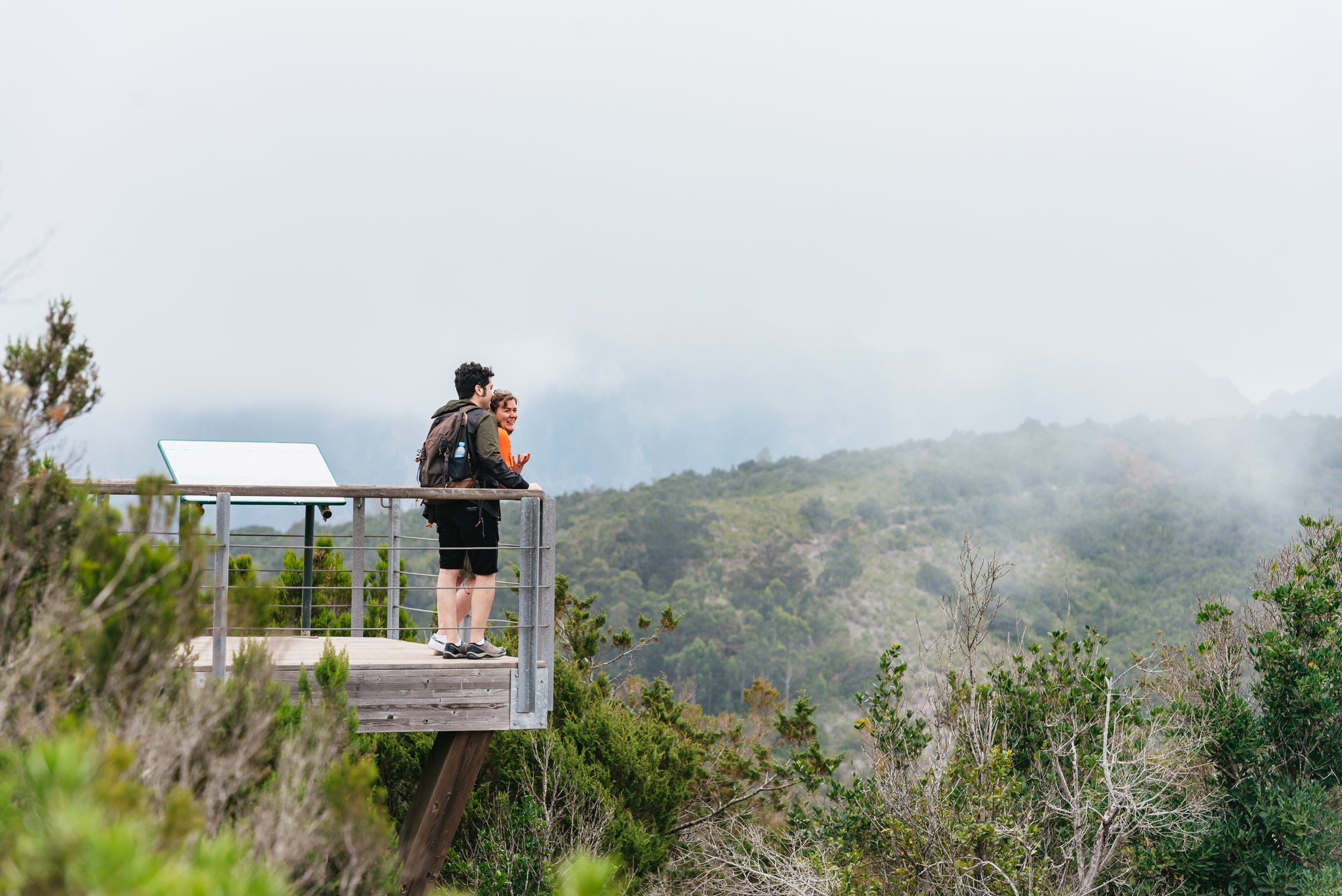 La Gomera Island Full-Day Expedition from South Tenerife