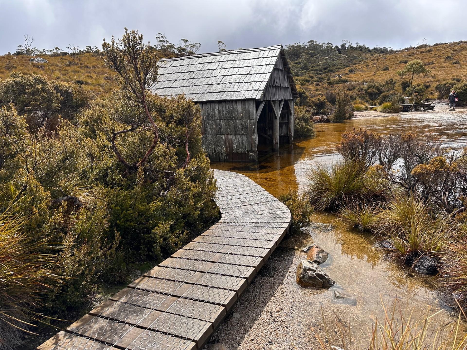 Cradle Mountain Half-Day Wilderness Discovery
