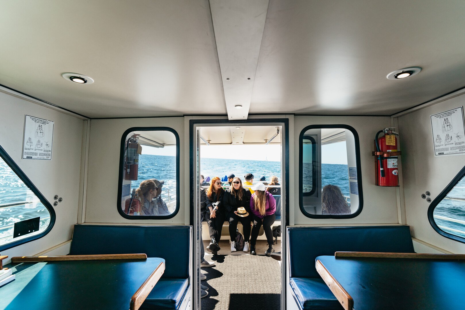 Monterey Bay whale watching tour — whales and marine wildlife — image 9