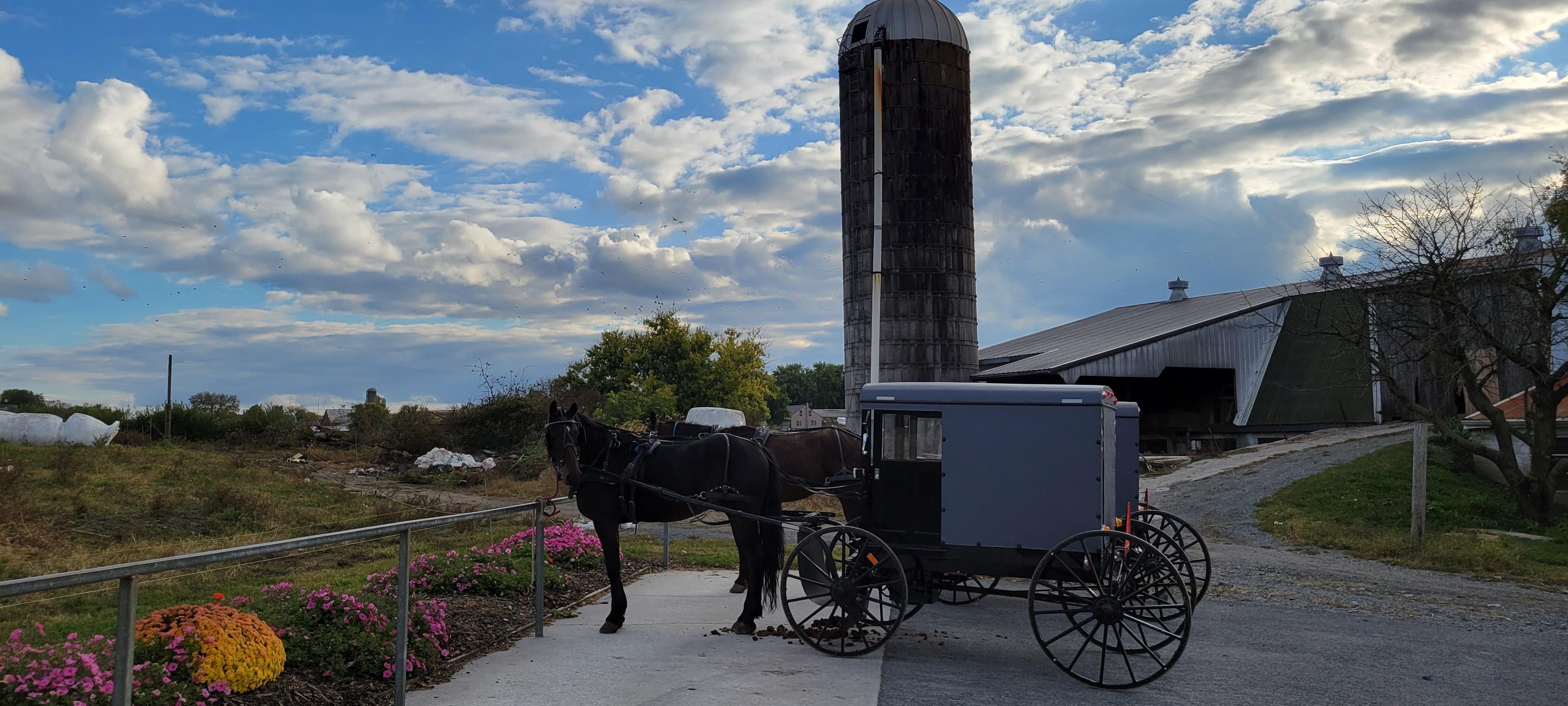 Lancaster City & Amish Country Heritage Tour
