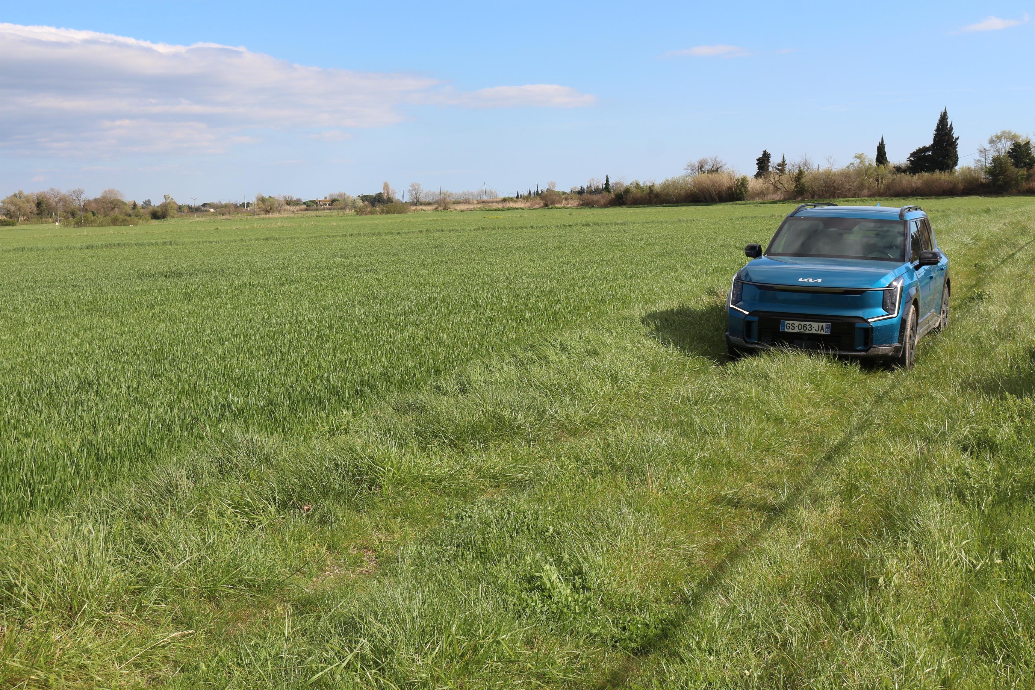 Electric 4x4 Wildlife Safari in Camargue with Local Tastings