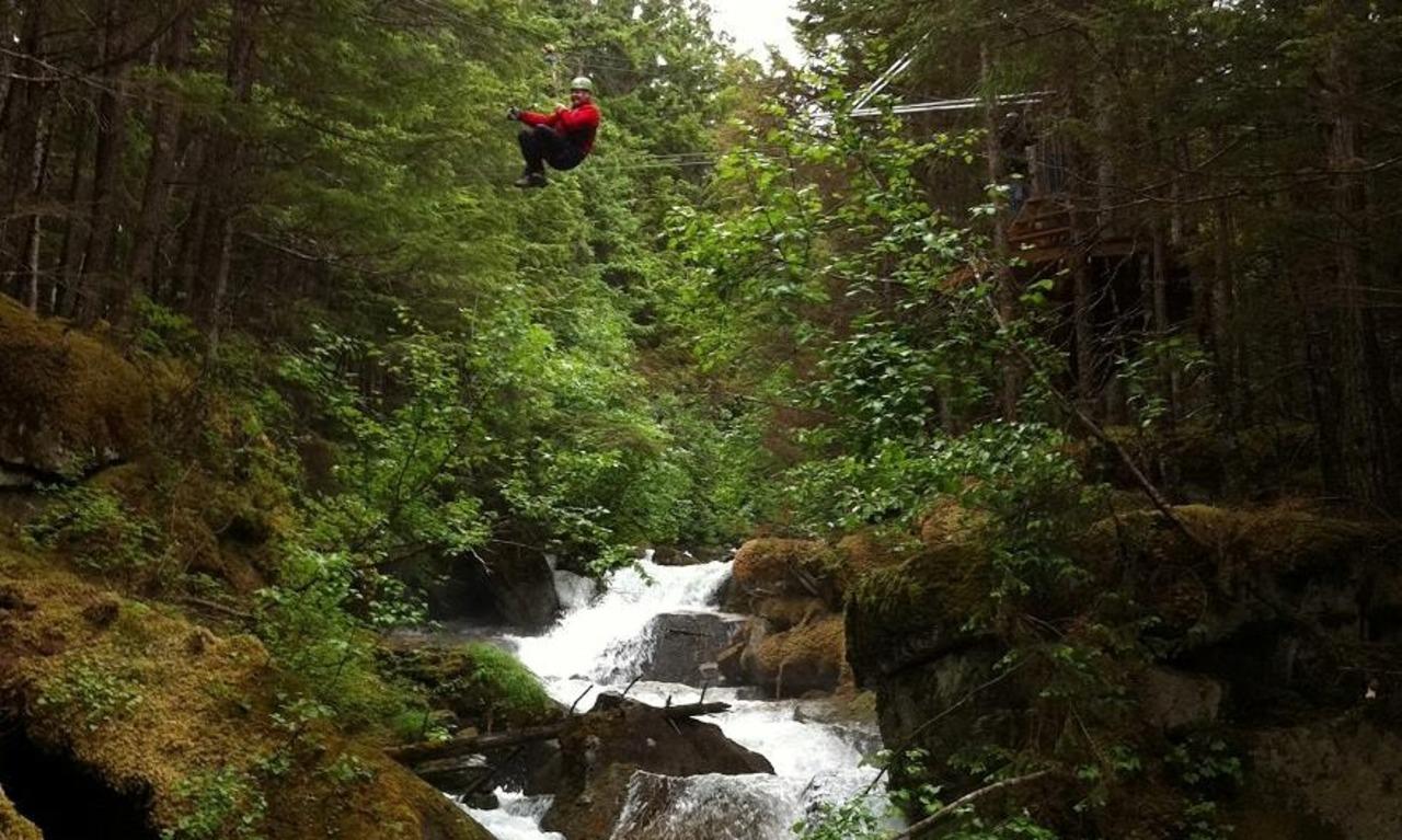 Grizzly Falls Rainforest Zipline Adventure