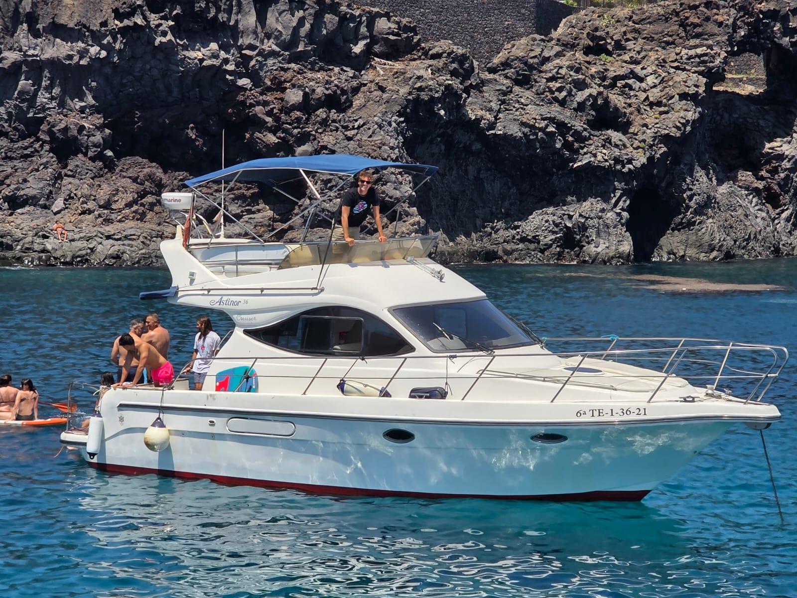 Luxury Whale Watching Safari in South Tenerife