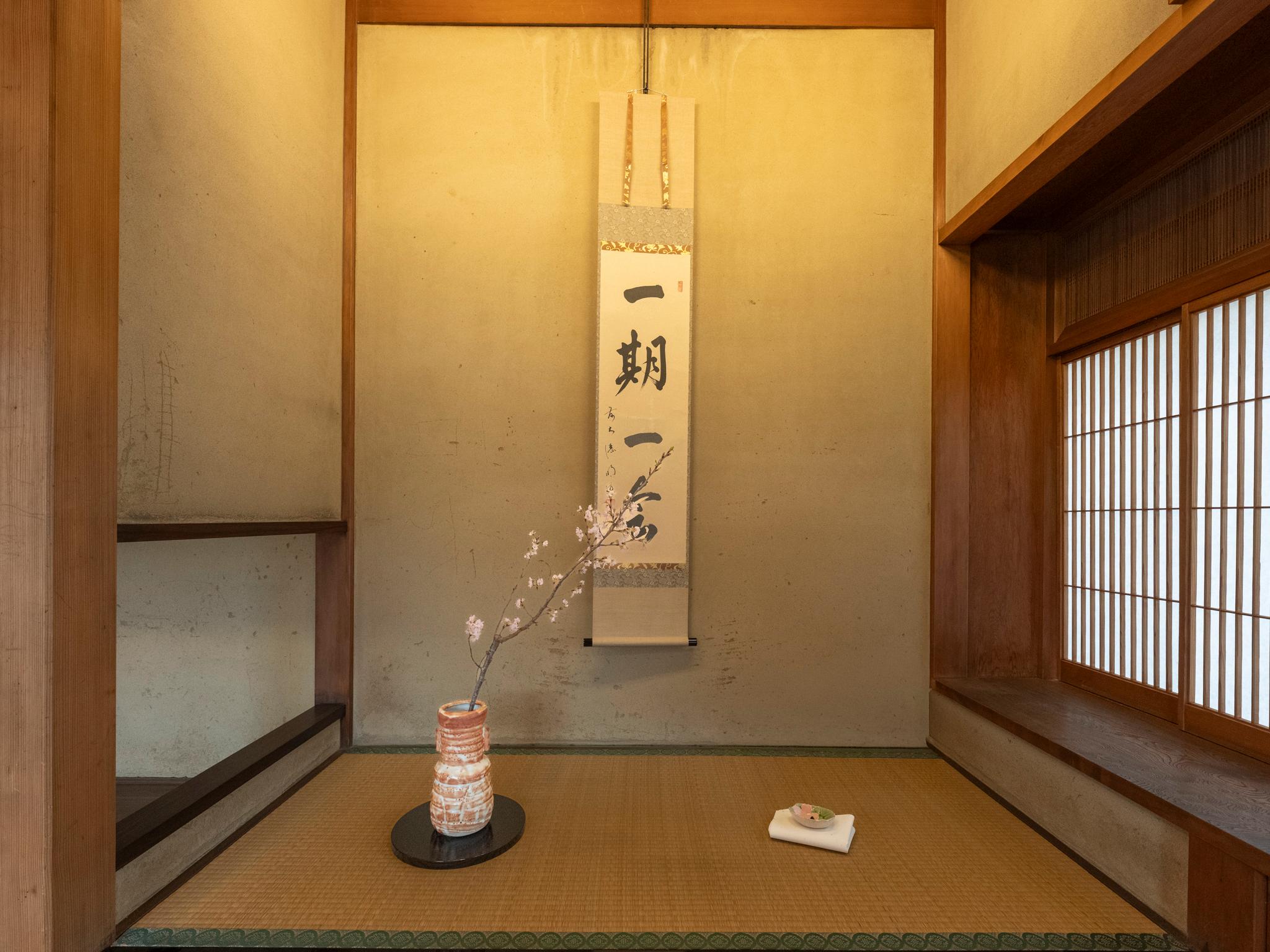Kyoto experience — temples, geisha, bamboo grove — image 10