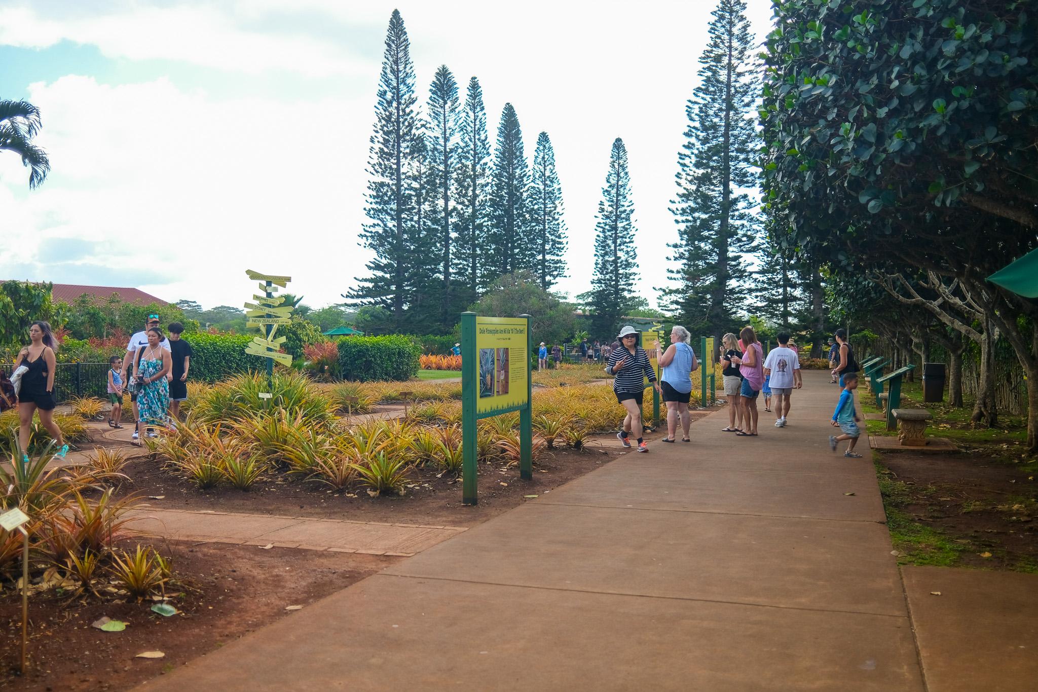 Oahu Full-Day Island Highlights Tour with Lunch