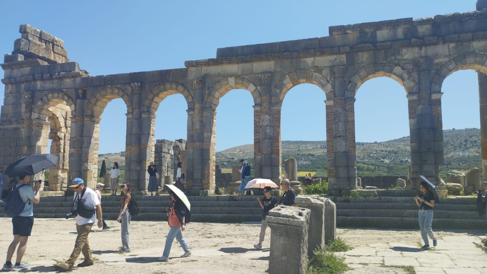 Fes Imperial Cities & Roman Ruins Day Trip