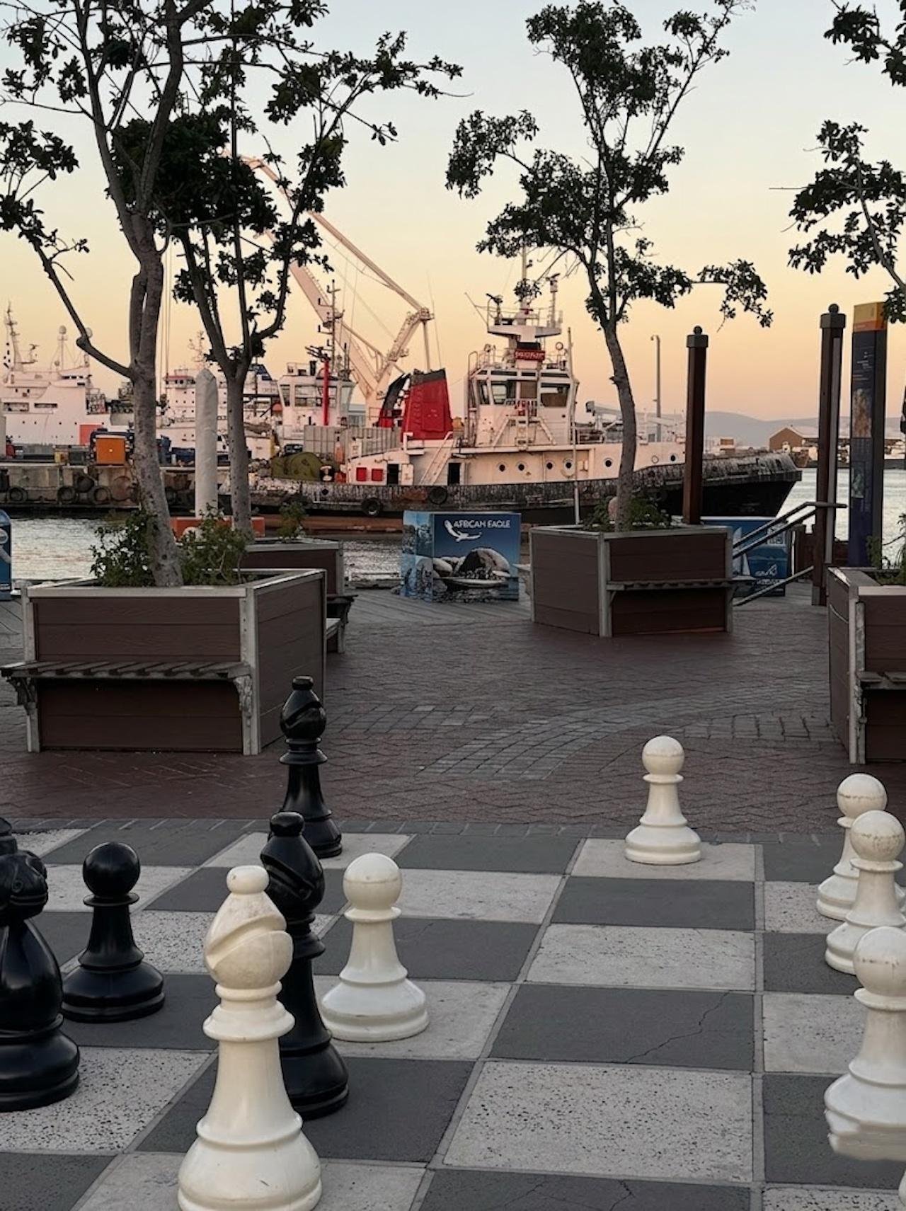 Cape Town Table Bay Marine Wildlife Eco-Cruise
