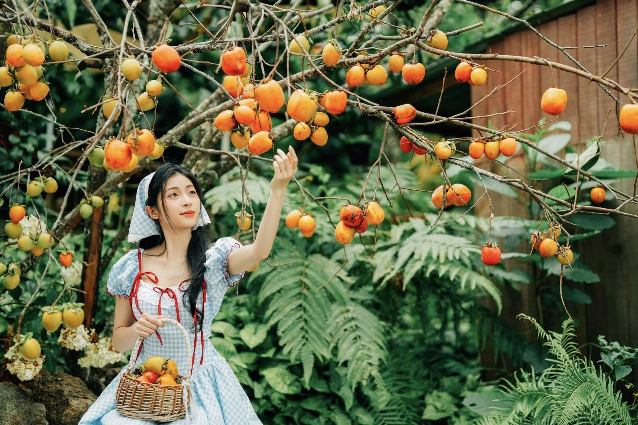 Da Lat Sunrise & Strawberry Farm Experience