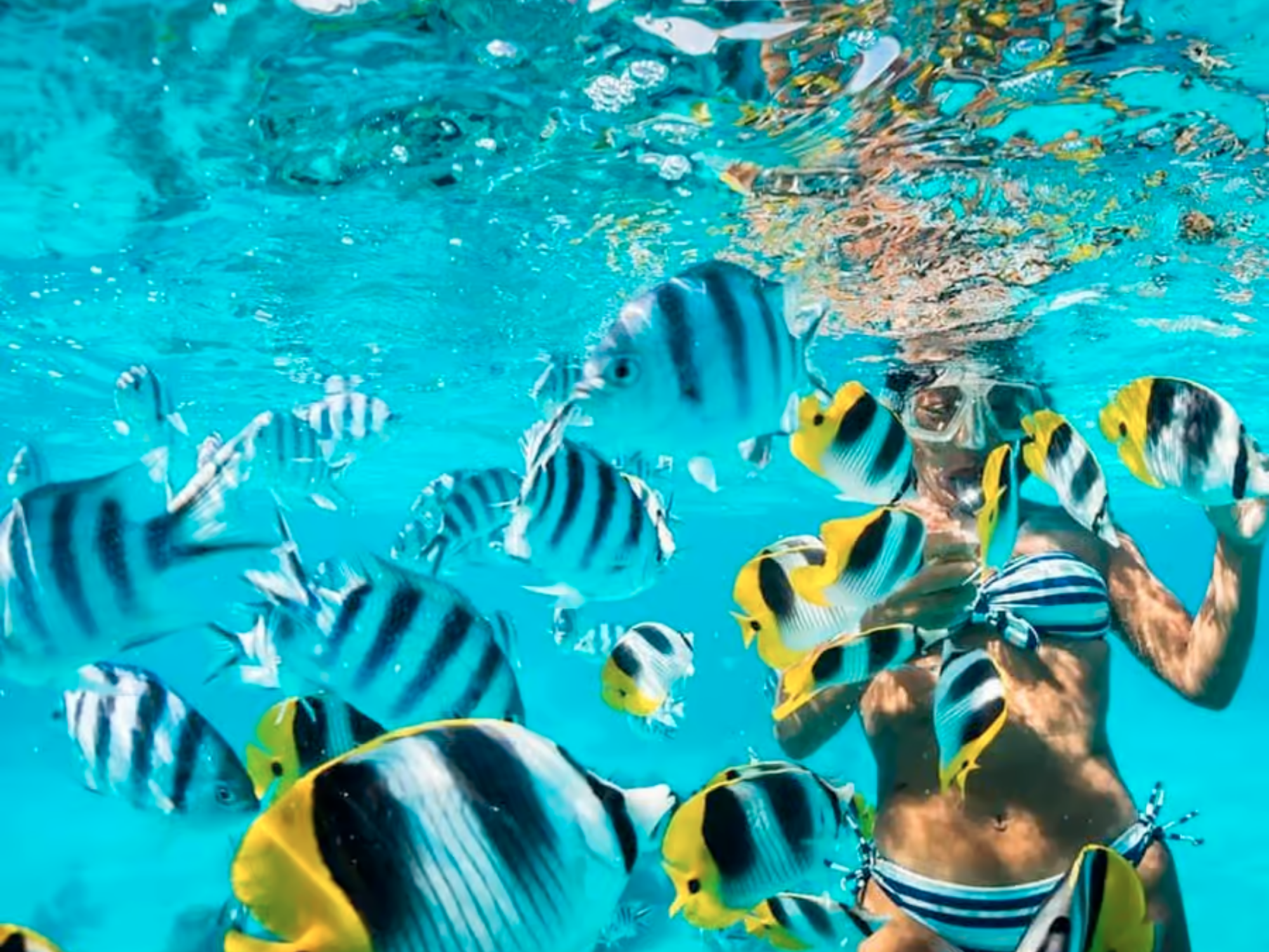 Rosario Islands Caribbean Escape: 3-Beach Club Island Hopping