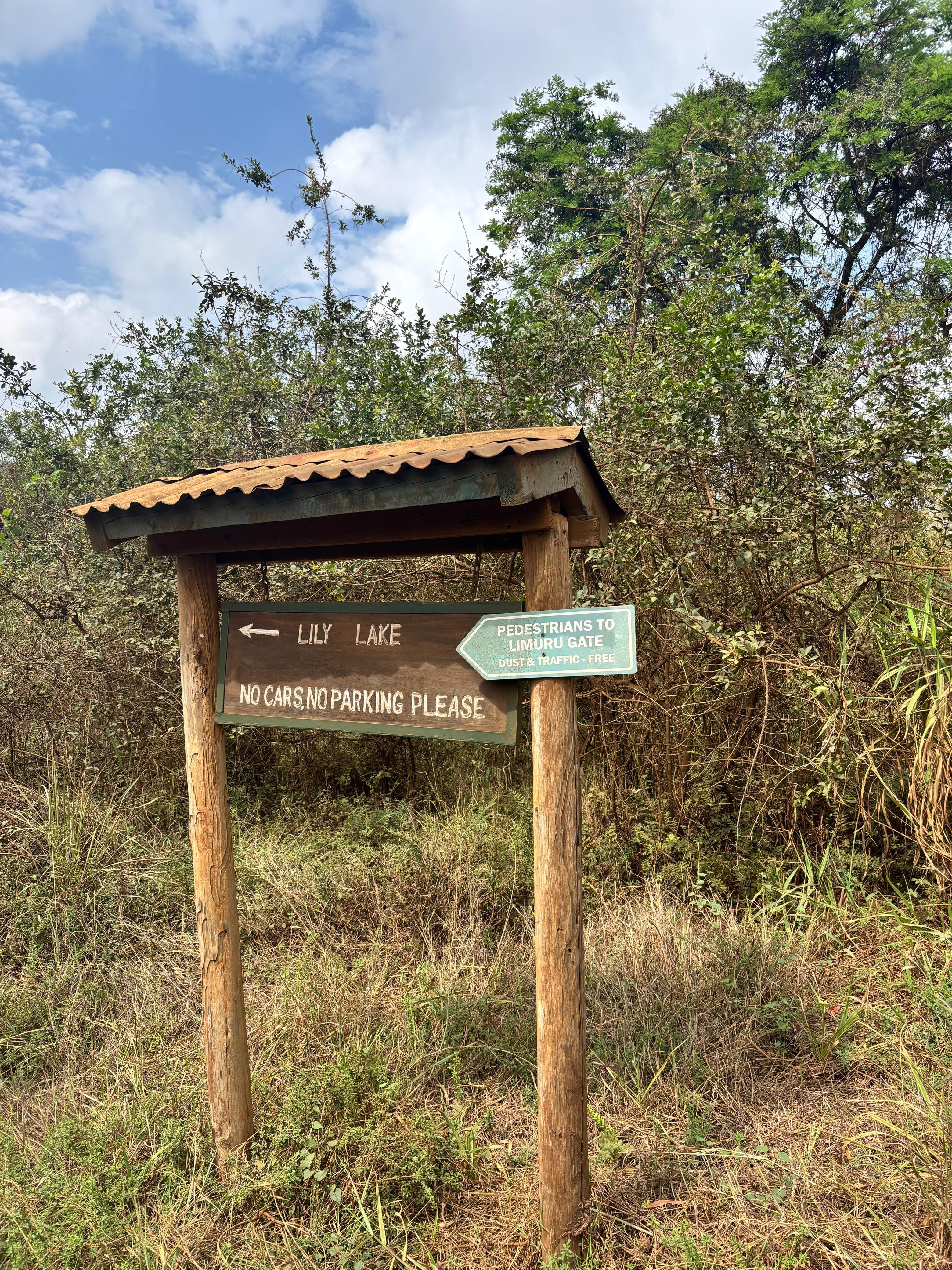 Karura Forest: Immersive Nature & History Walking Tour