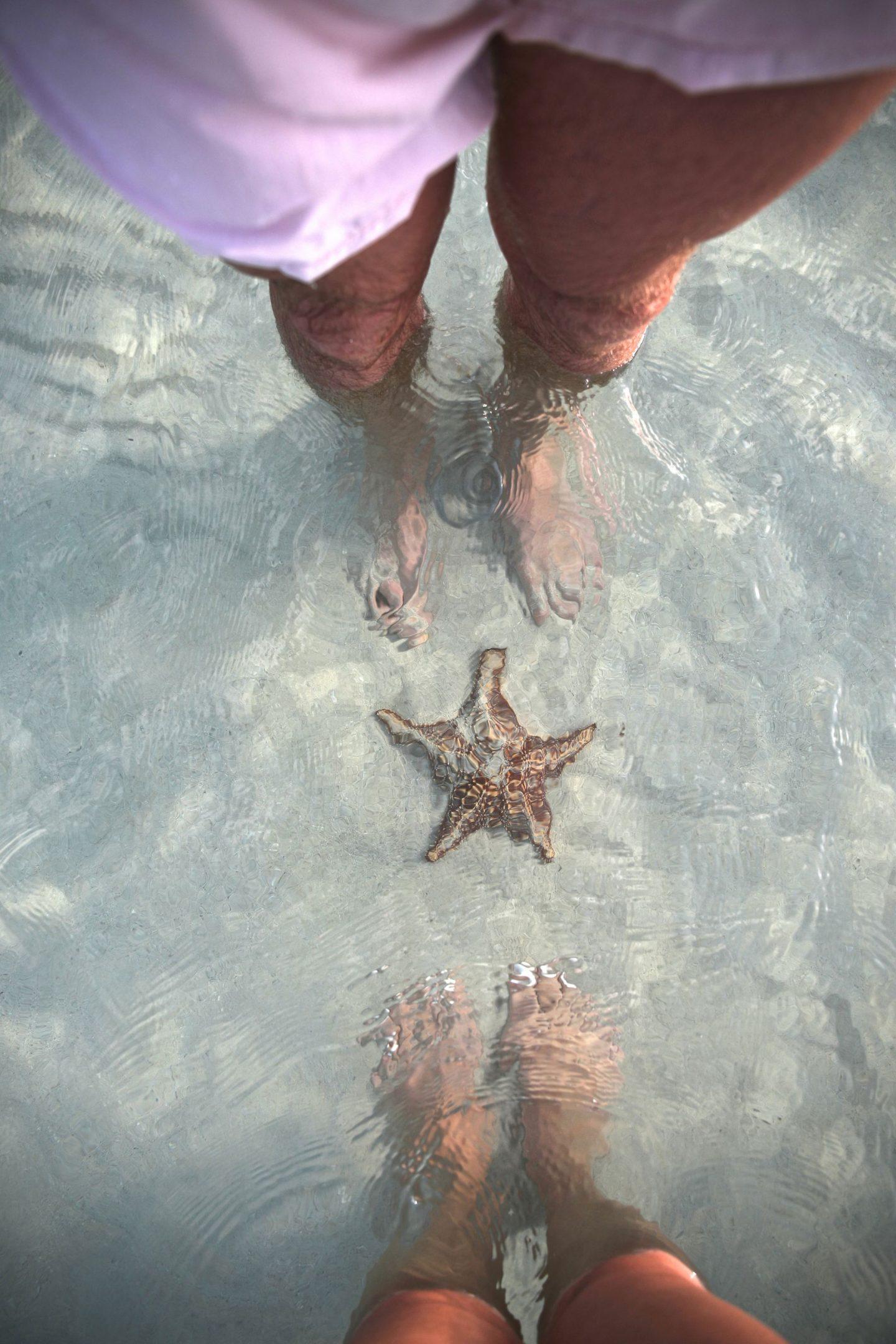 Grand Cayman Catamaran Cruise: Stingrays, Coral & Starfish