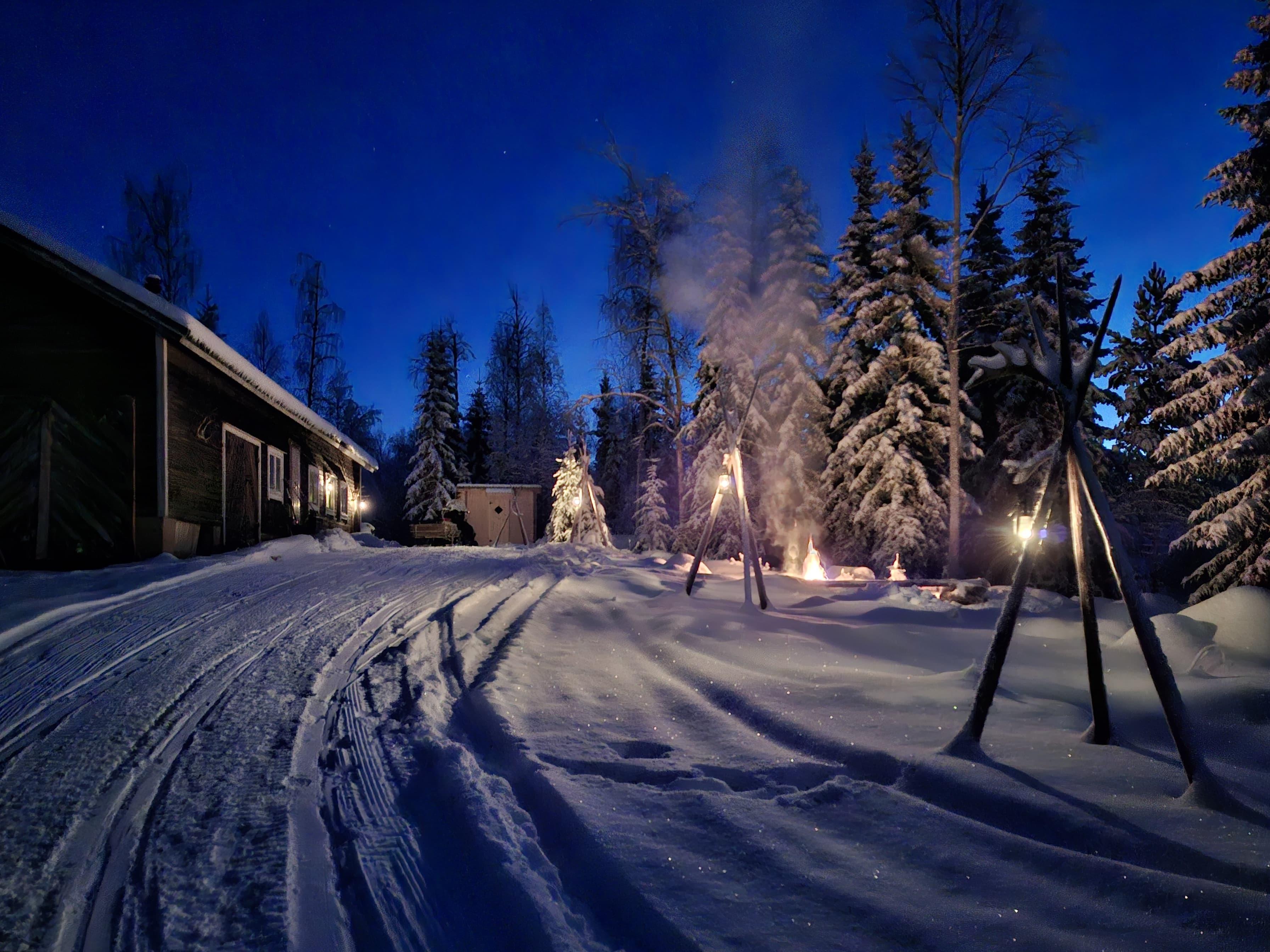 Rovaniemi Self-Drive Husky Safari & Reindeer Farm