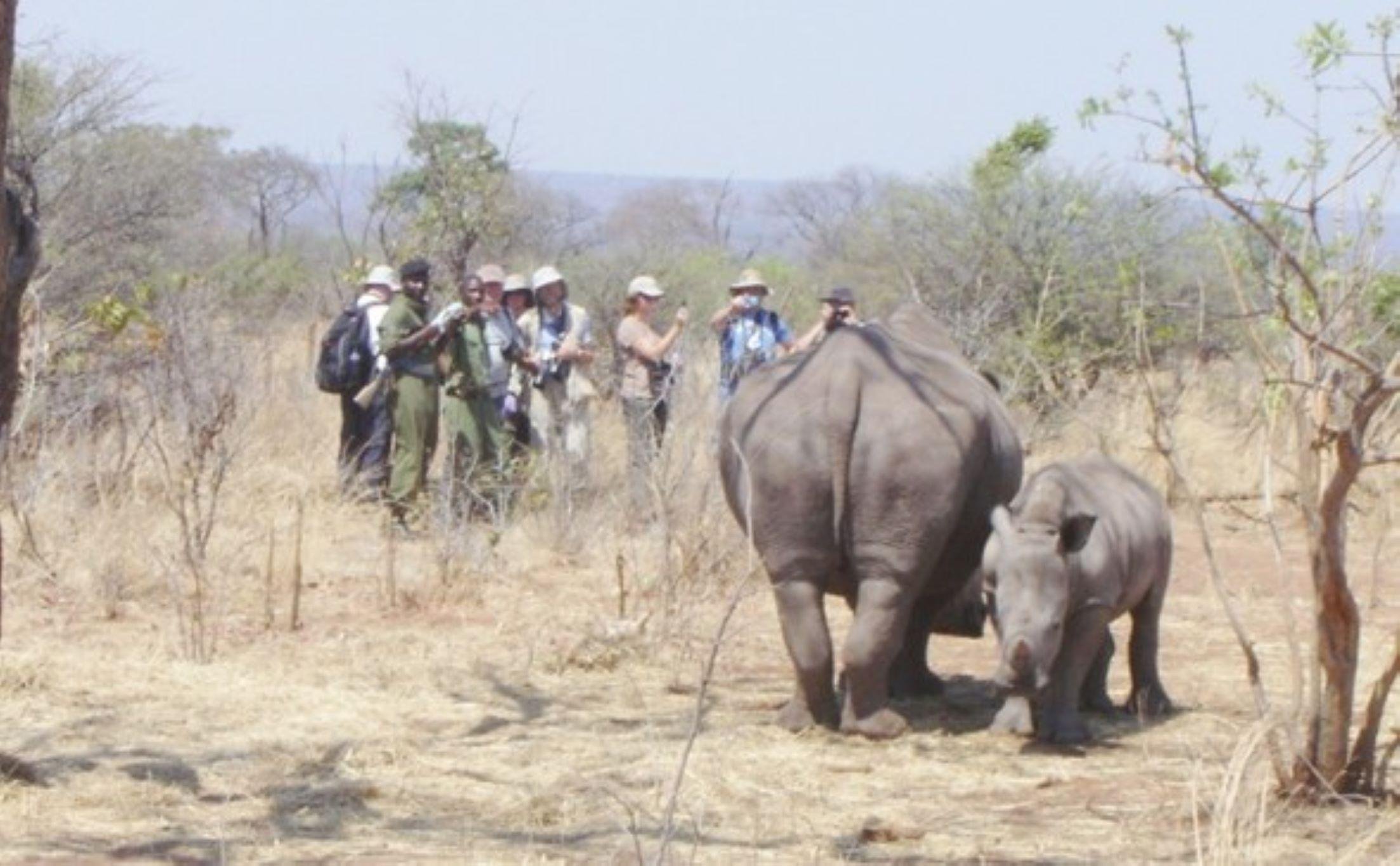 Mosi-oa-Tunya Walking Safari with Armed Ranger