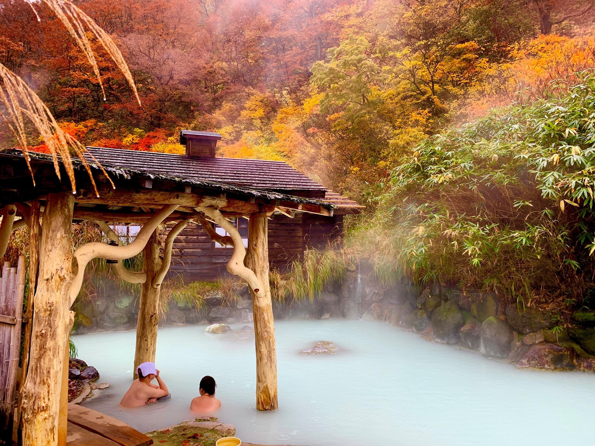 From Tokyo: Private Tour to Fuji/Hakone - Onsen, Art, Nature — Japanese onsen experience photo 10