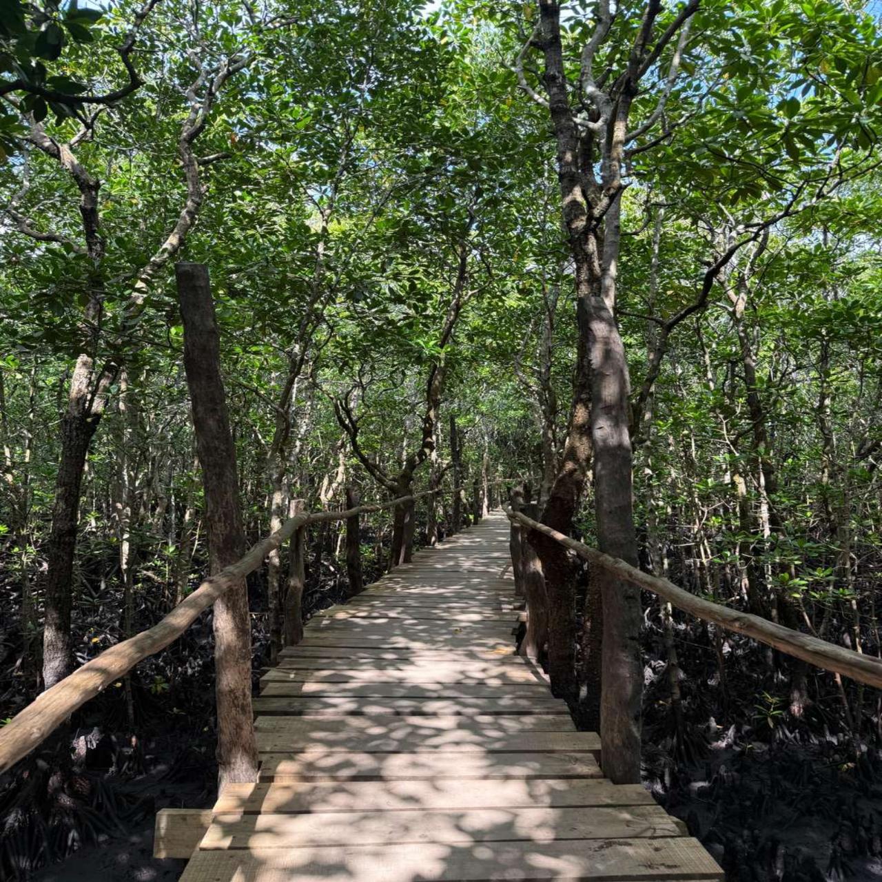 Zanzibar Jozani Forest & The Rock Restaurant Day Tour