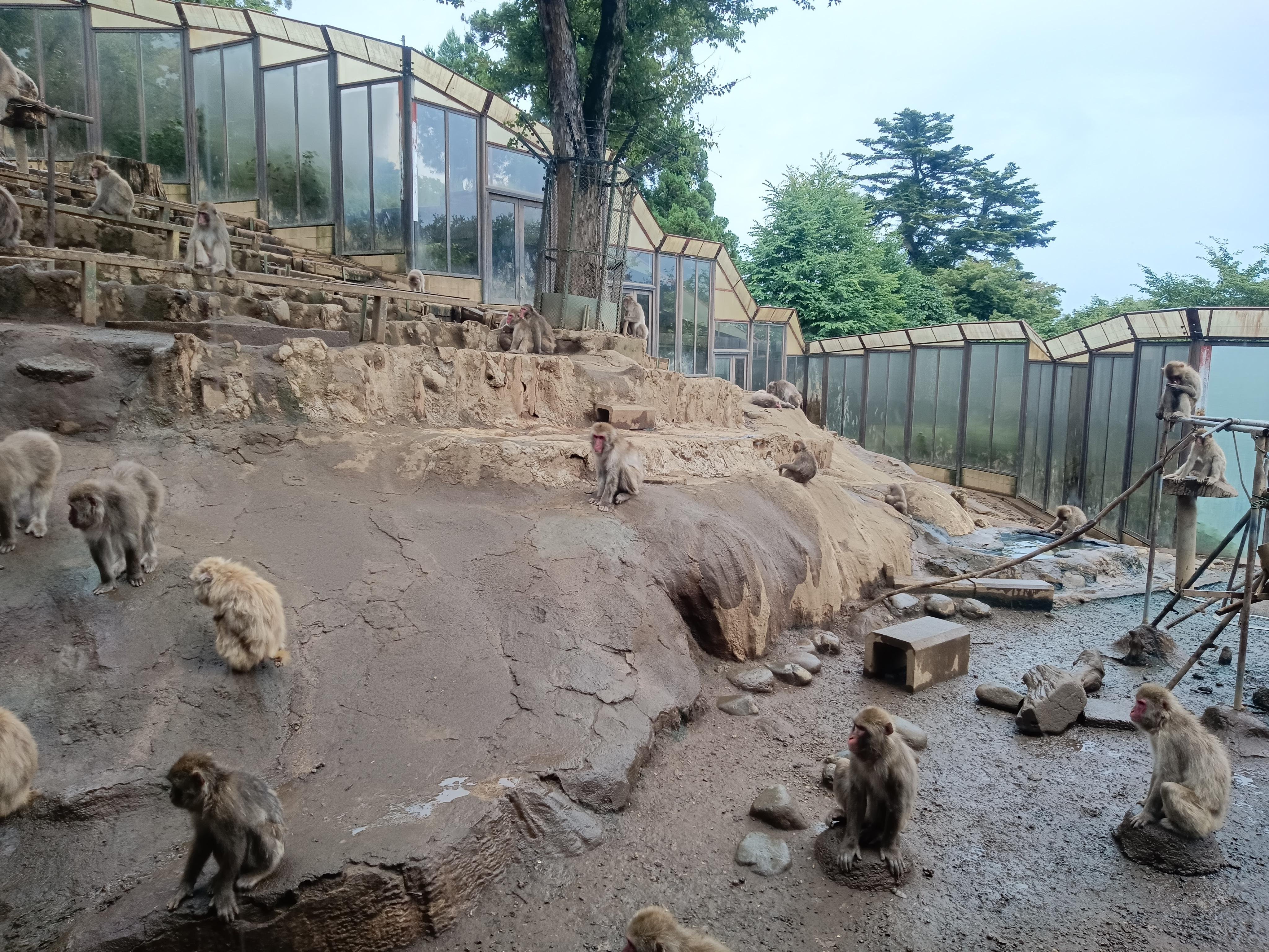 Tokyo: Mt Takao Tour with Ramen and Tattoo-Okay Hot Spring — Japanese onsen experience photo 7