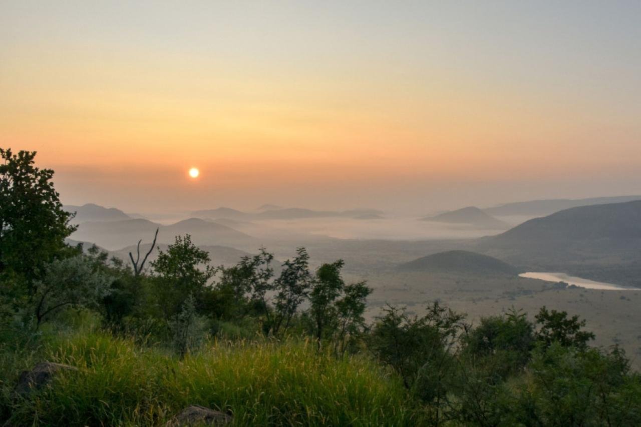 Pilanesberg Morning Safari with Open-Vehicle Game Drive