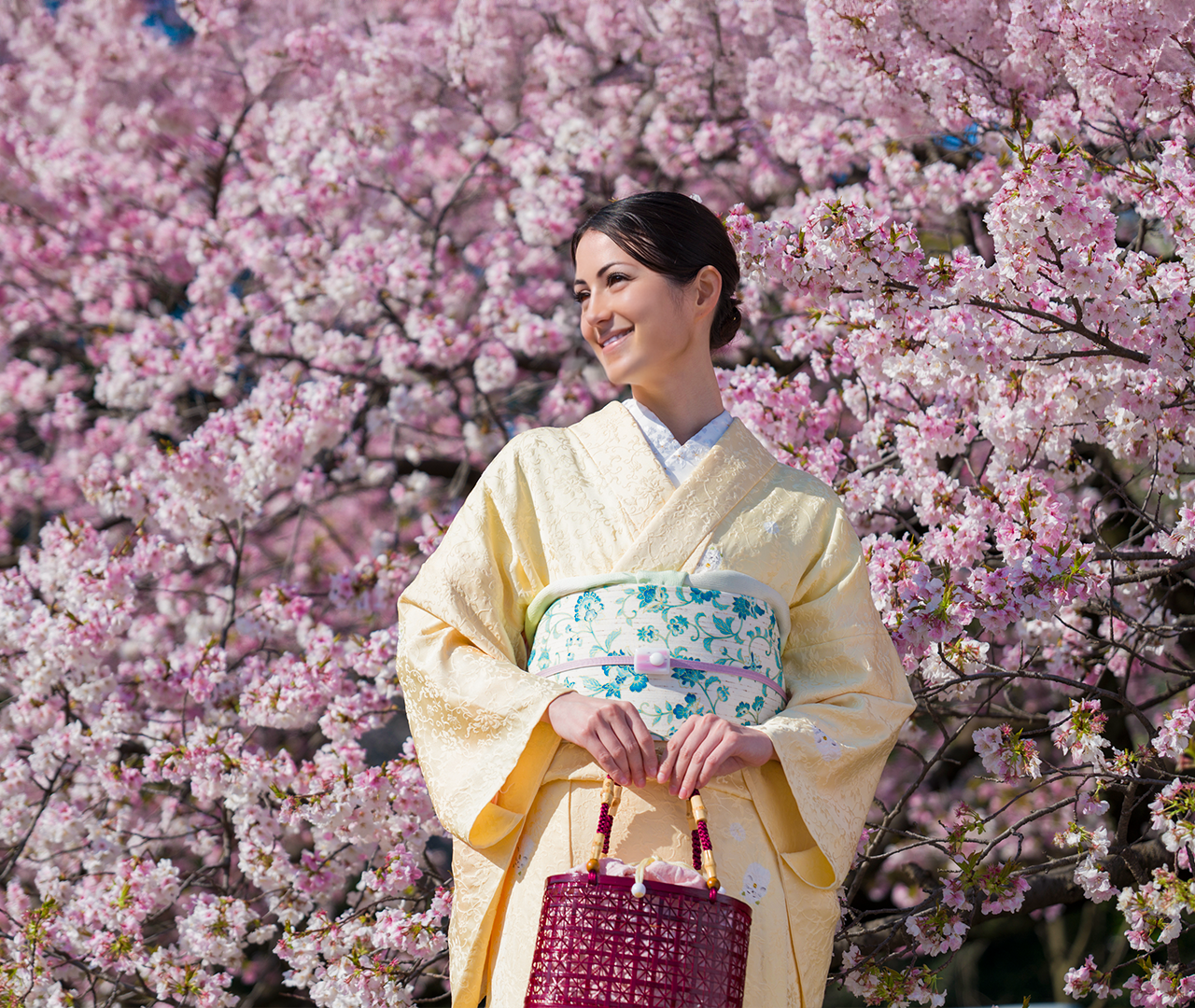Shinjuku Gyoen Kimono Rental Experience