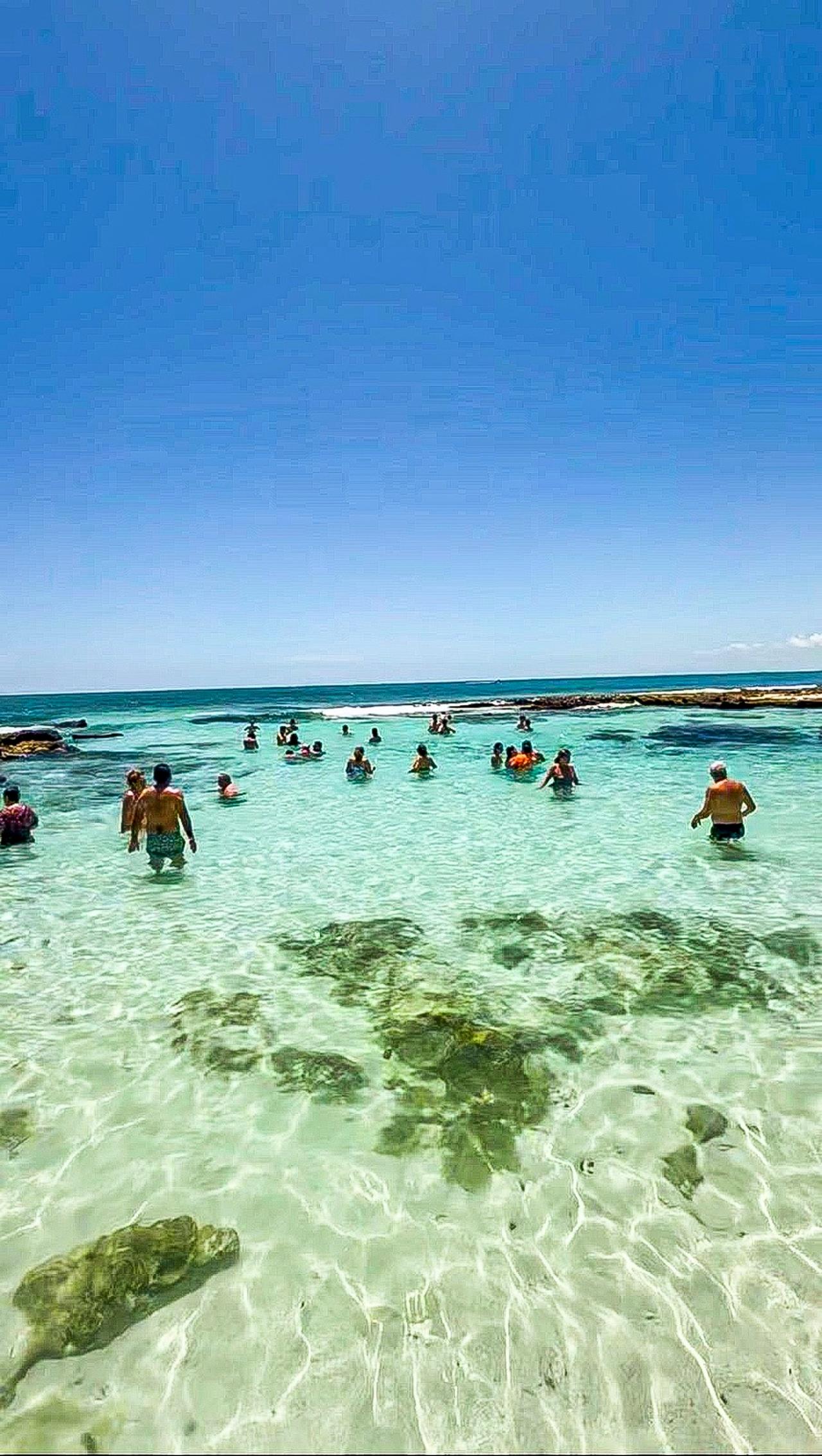 Tulum Boat Adventure: Mayan Ruins, Turtles & Natural Pool