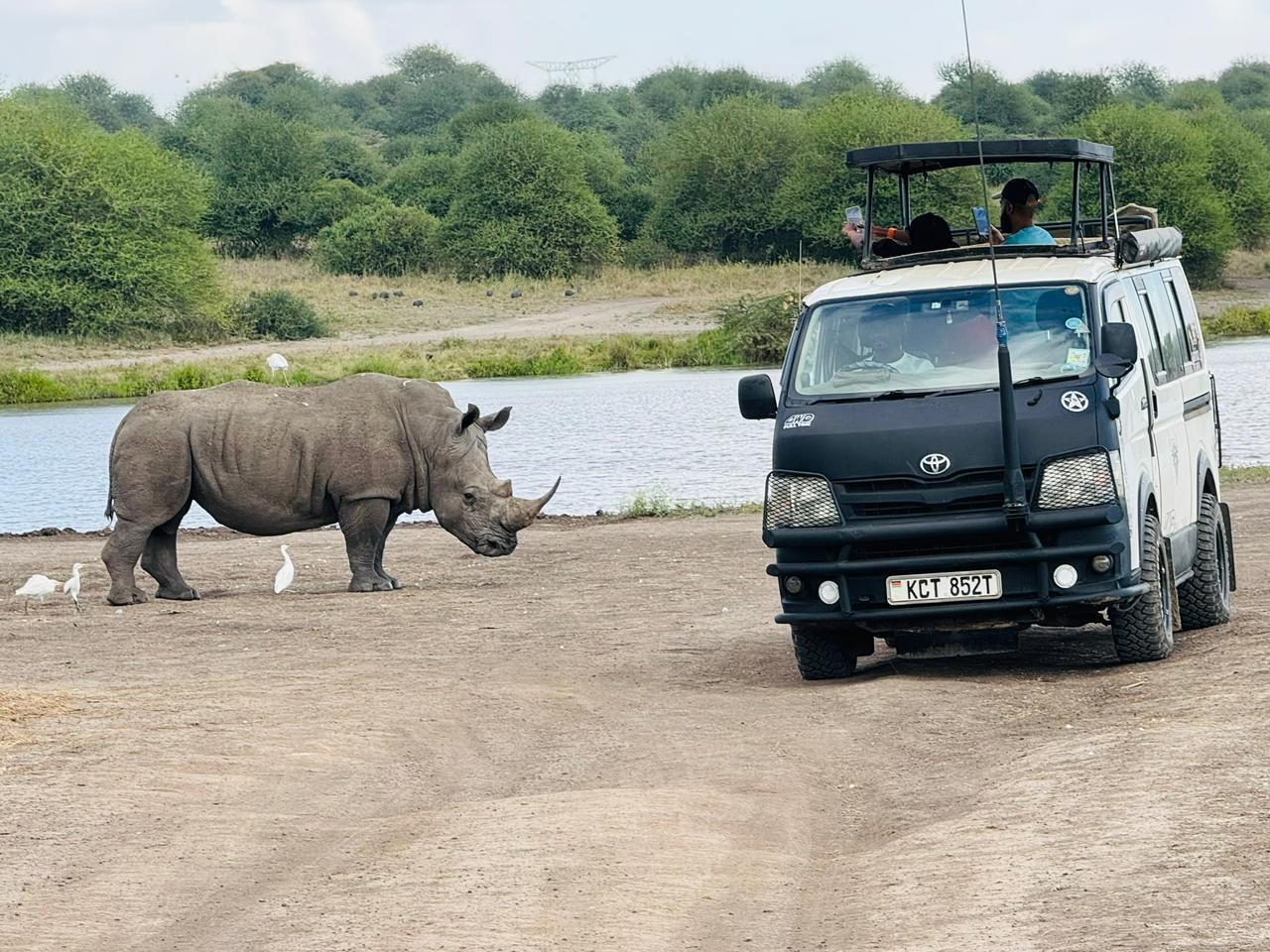 Nairobi National Park 5-Hour 4x4 Wildlife Safari
