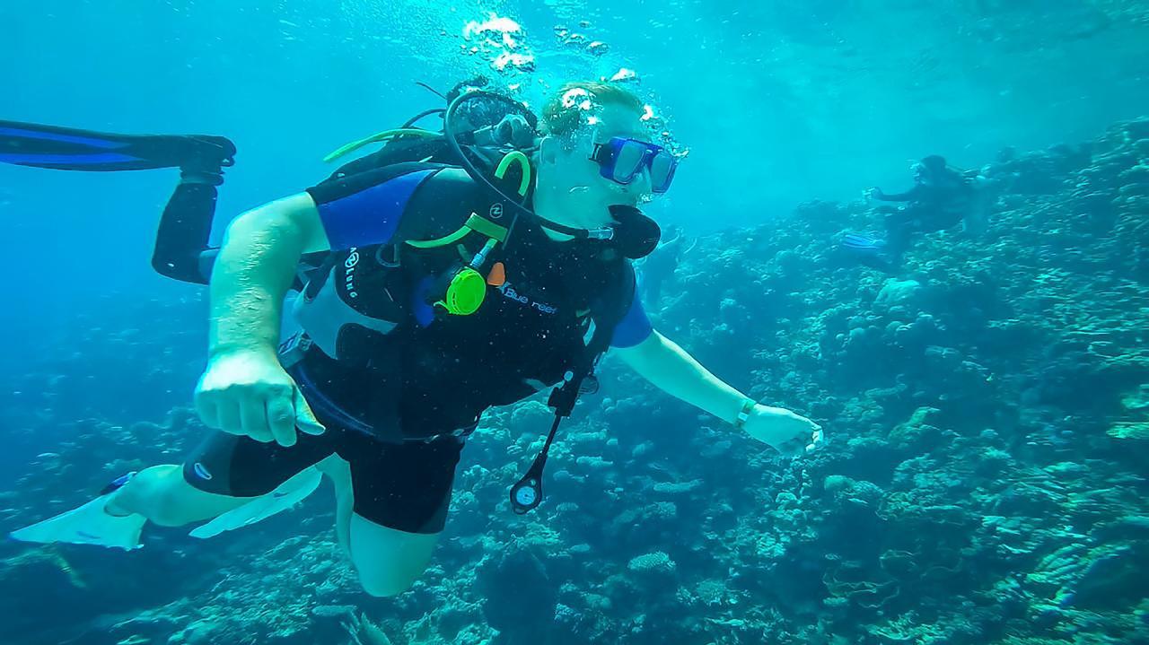 Ras Mohammed Luxury Dive Cruise from Sharm El Sheikh with Lunch