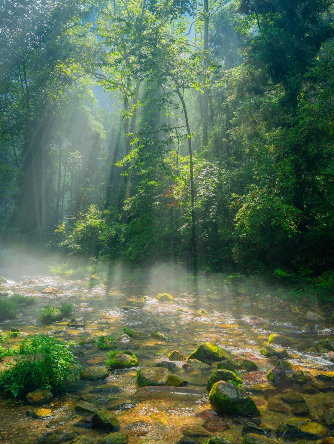Zhangjiajie National Park Early-Start Hiking Tour