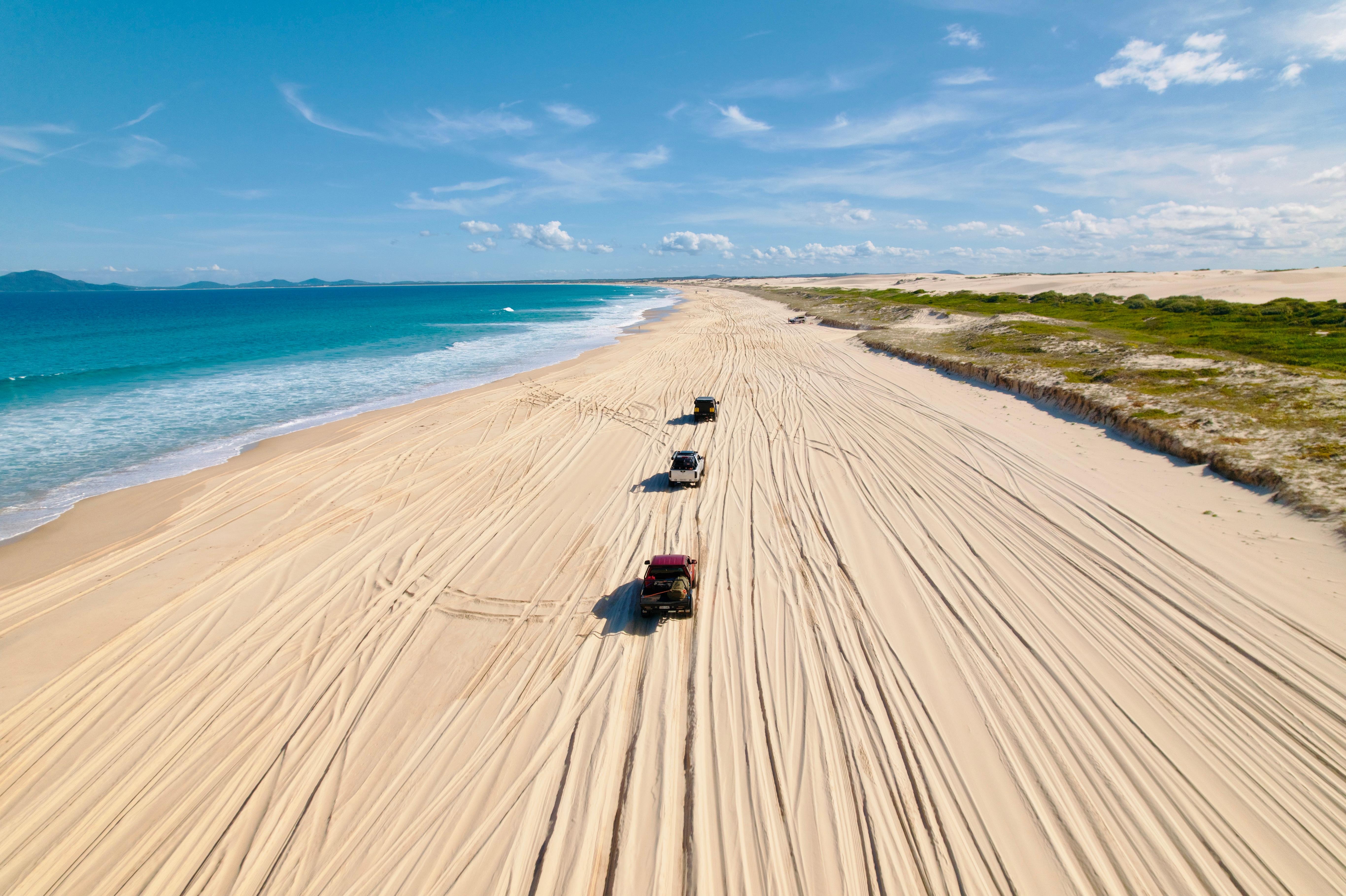 Sydney to Nelson Bay: 4WD Beach Drive & Koala Sanctuary Day Tour