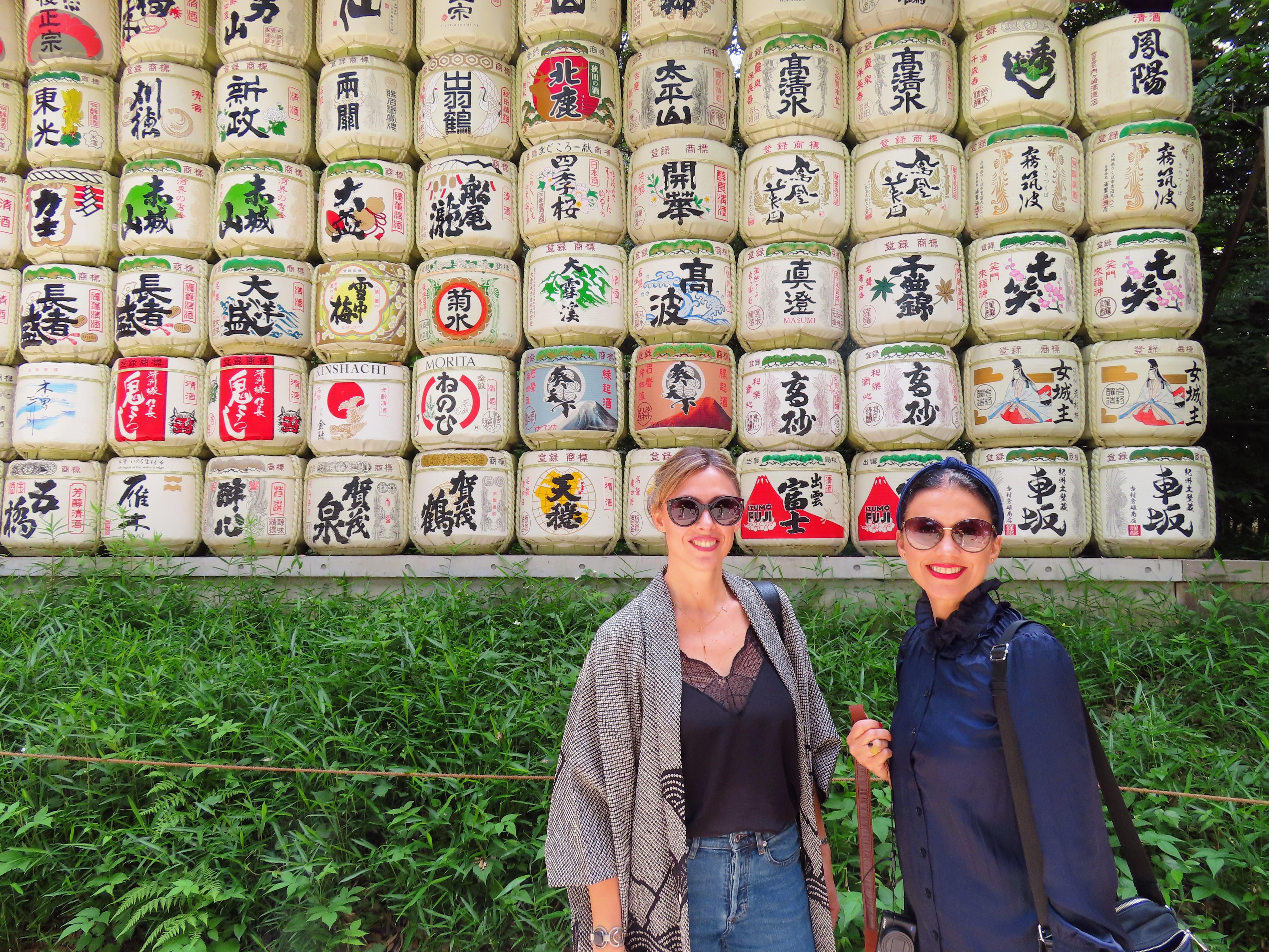 Tokyo Layover Tour from Narita – Private Licensed Guide & Vehicle