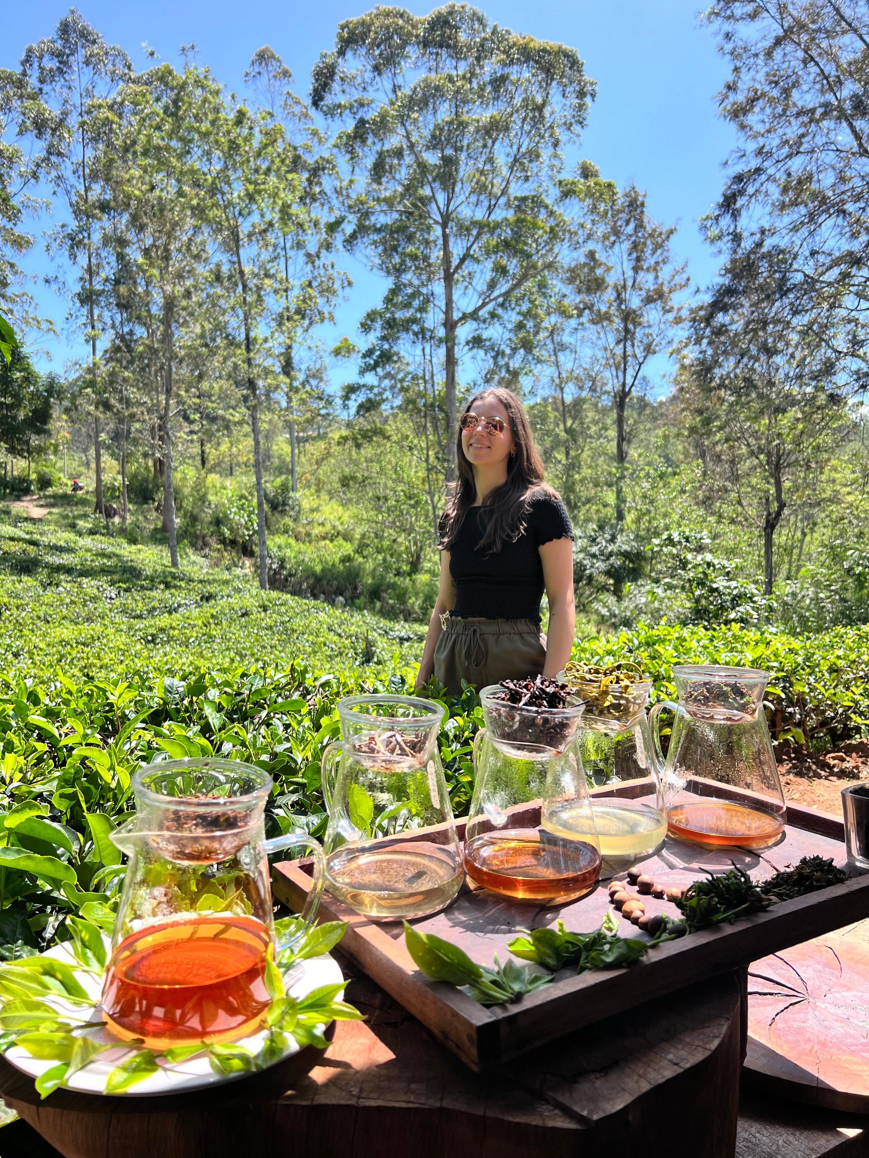 Ella: Hands-On Tea Crafting and Tasting Experience