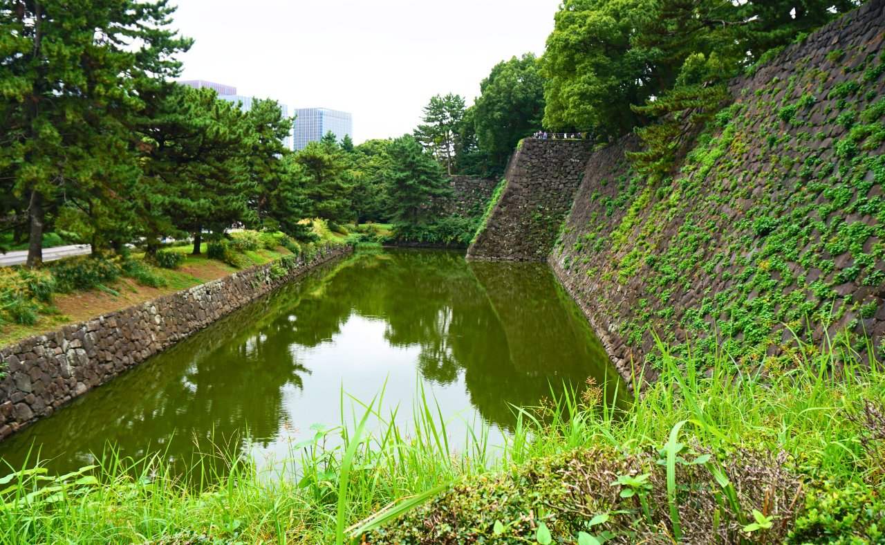 Tokyo Imperial Palace tour — Ōtemon Gate, Ninomaru Garden and castle moat — image 12