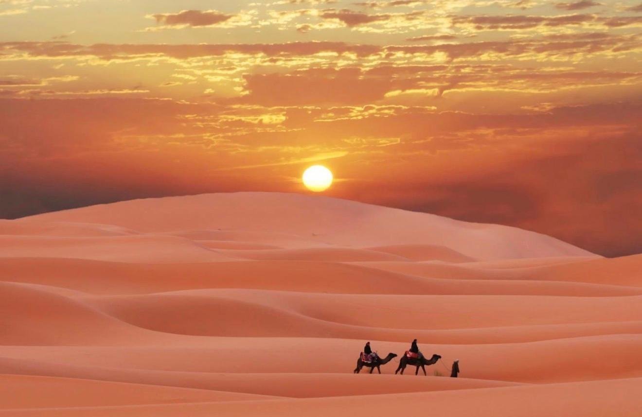 Doha Desert Safari: Dunes, Camels & Inland Sea