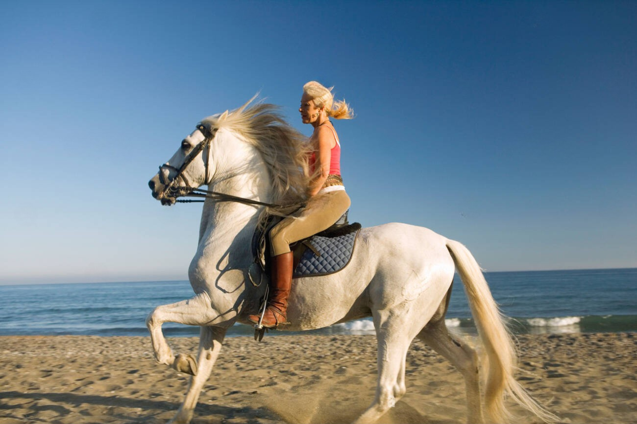 Casablanca Horseback Riding Adventure by the Sea