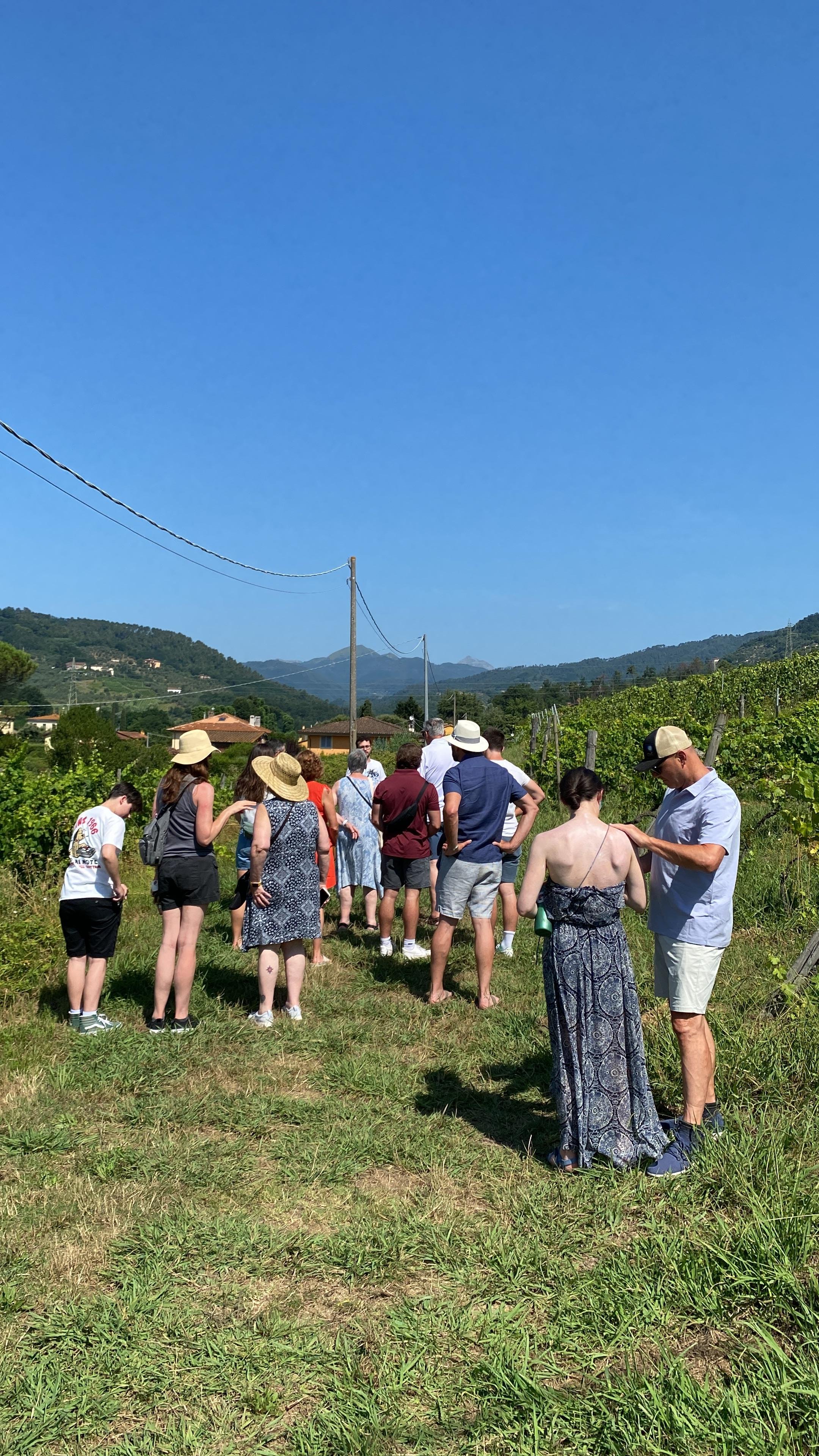 cooking class in Pisa — photo 6