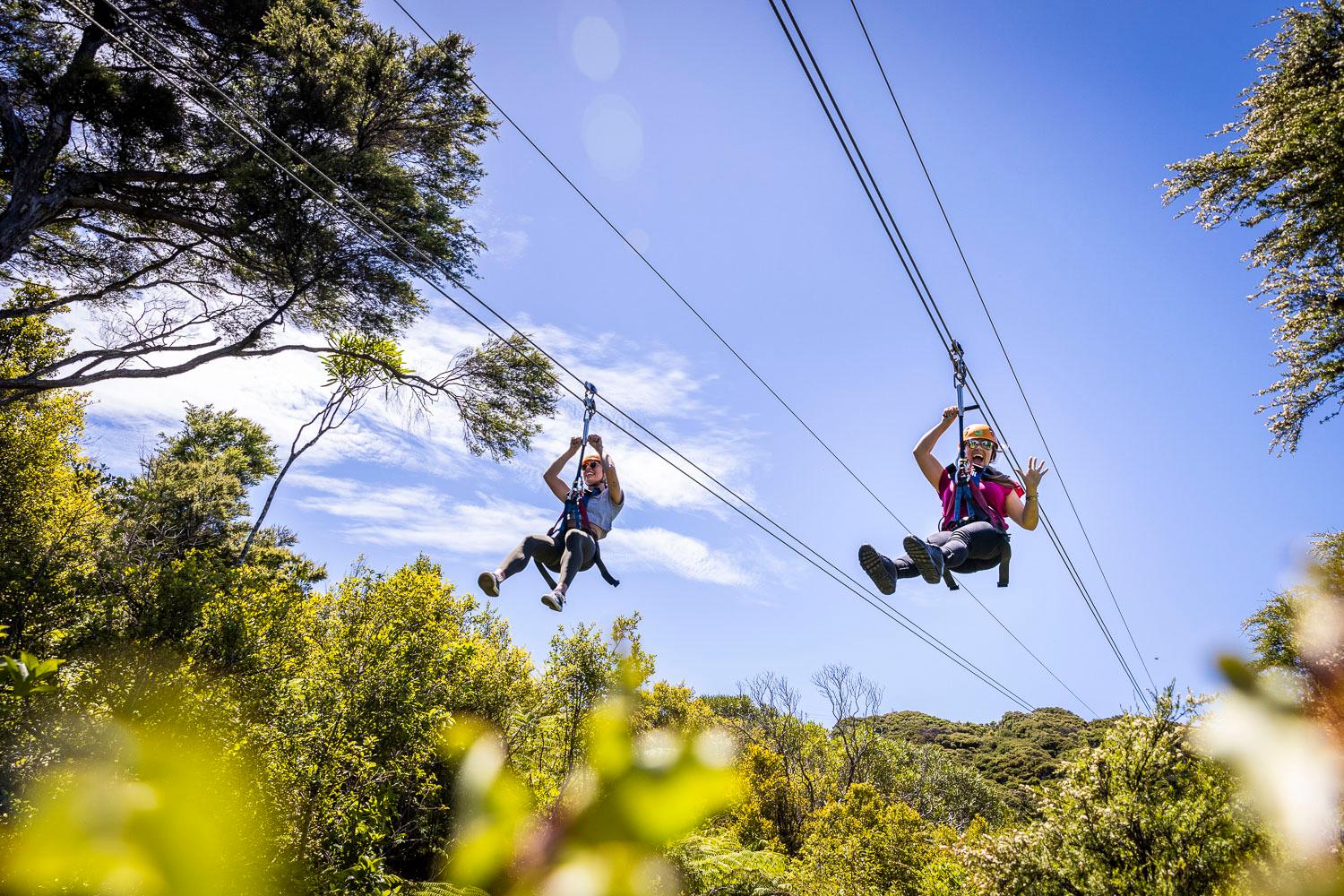 Custom Waiheke Island Tour: Zipline Adventure & Vineyard Hop