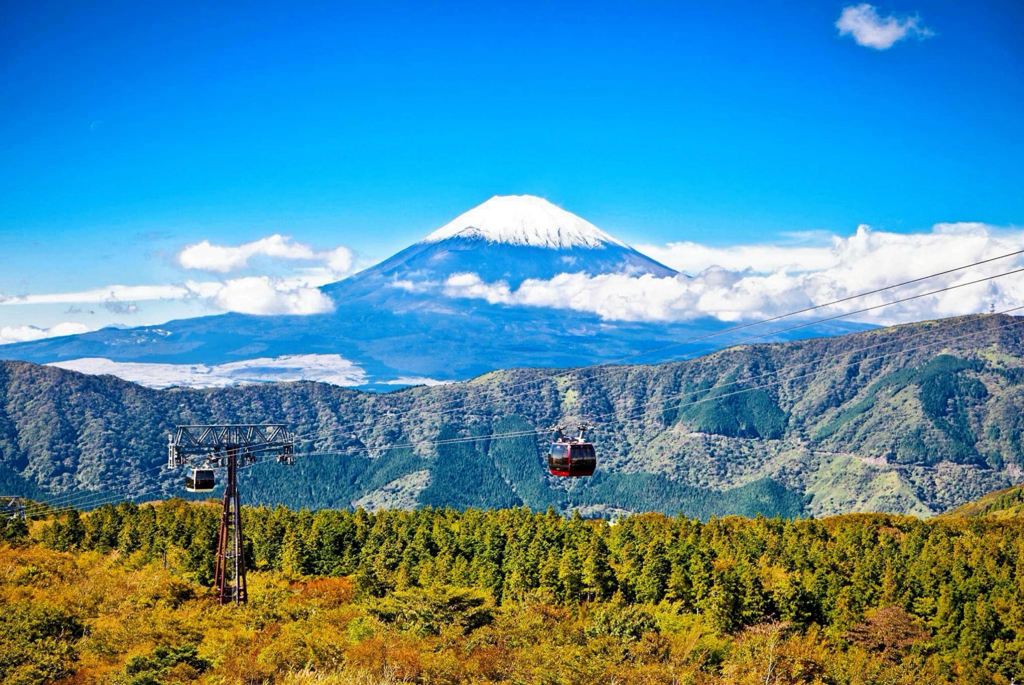 Mount Fuji Private Day Tour from Tokyo with English-Speaking Driver